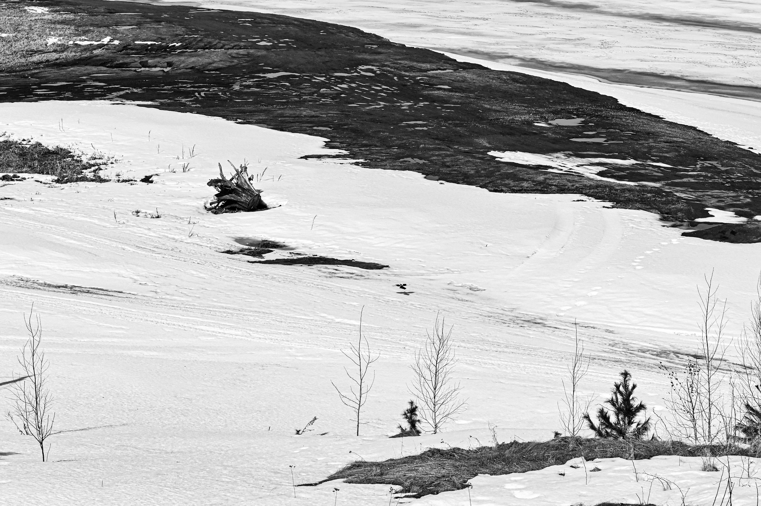 Безмолвие пустоши. Междисциплинарный художник Екатерина Старовойтова