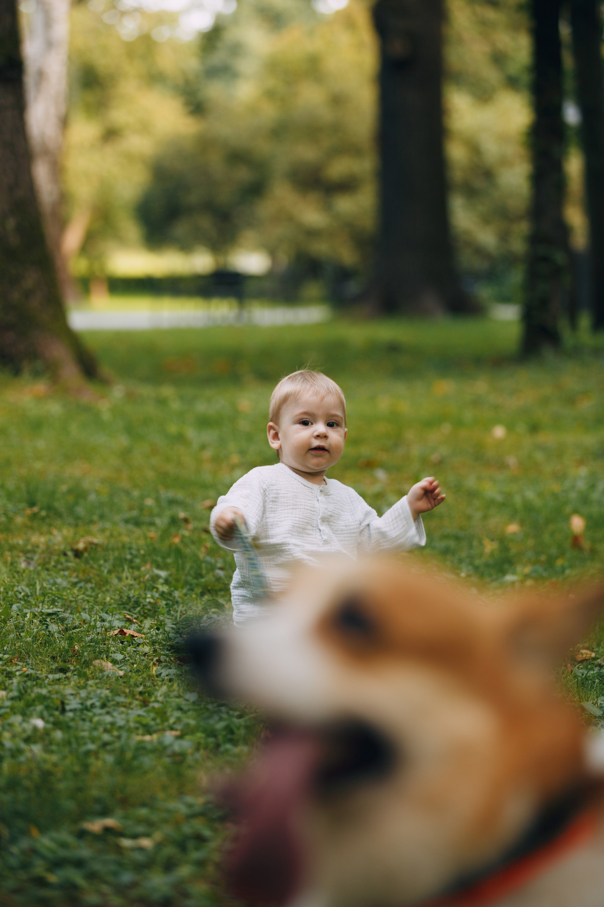 Мерф, Саша, Арсений и Андрей. Фотограф анималист Кристина Карпова, Москва