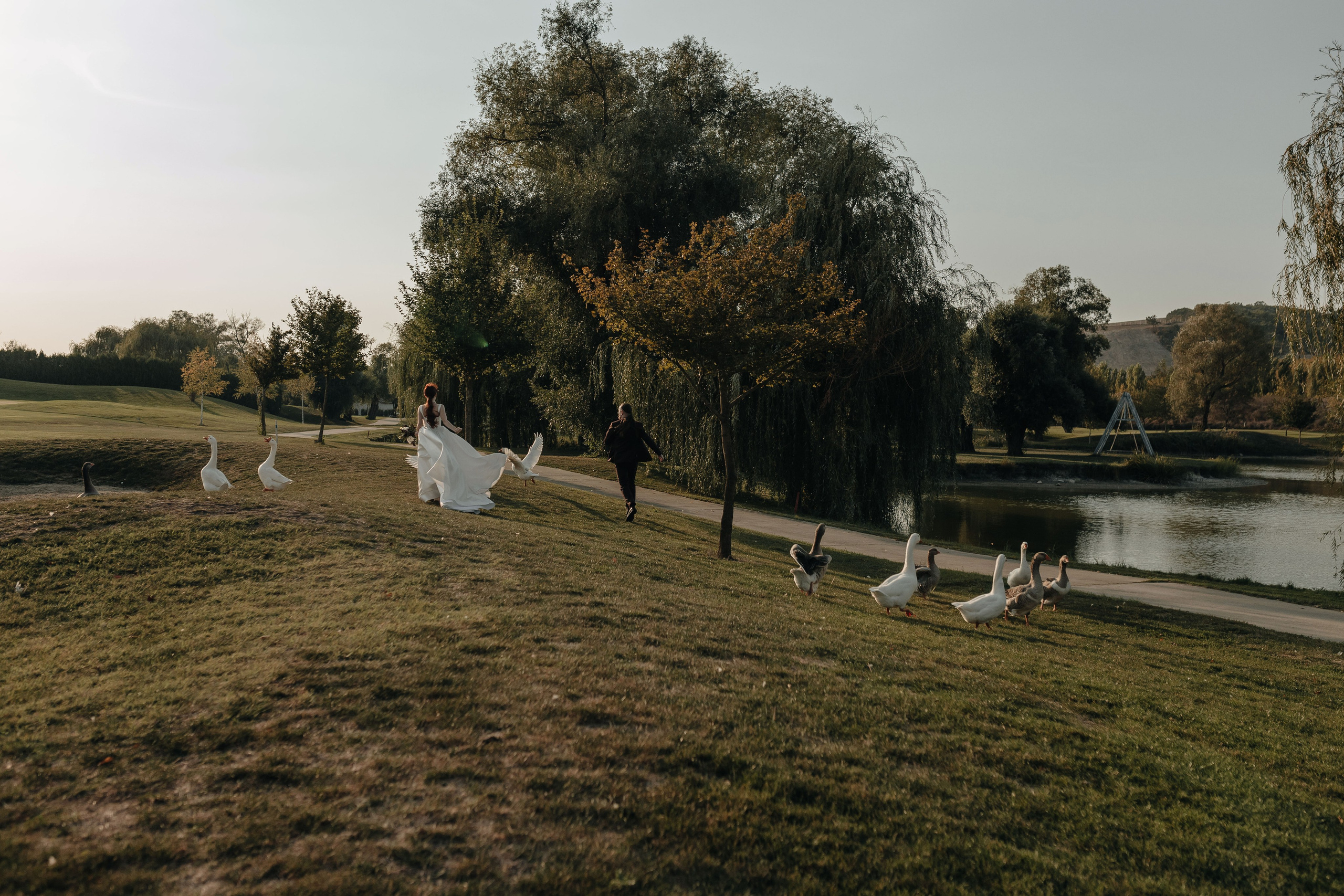 Свадьба Виктории и Александра. Фотограф Трифон Мира