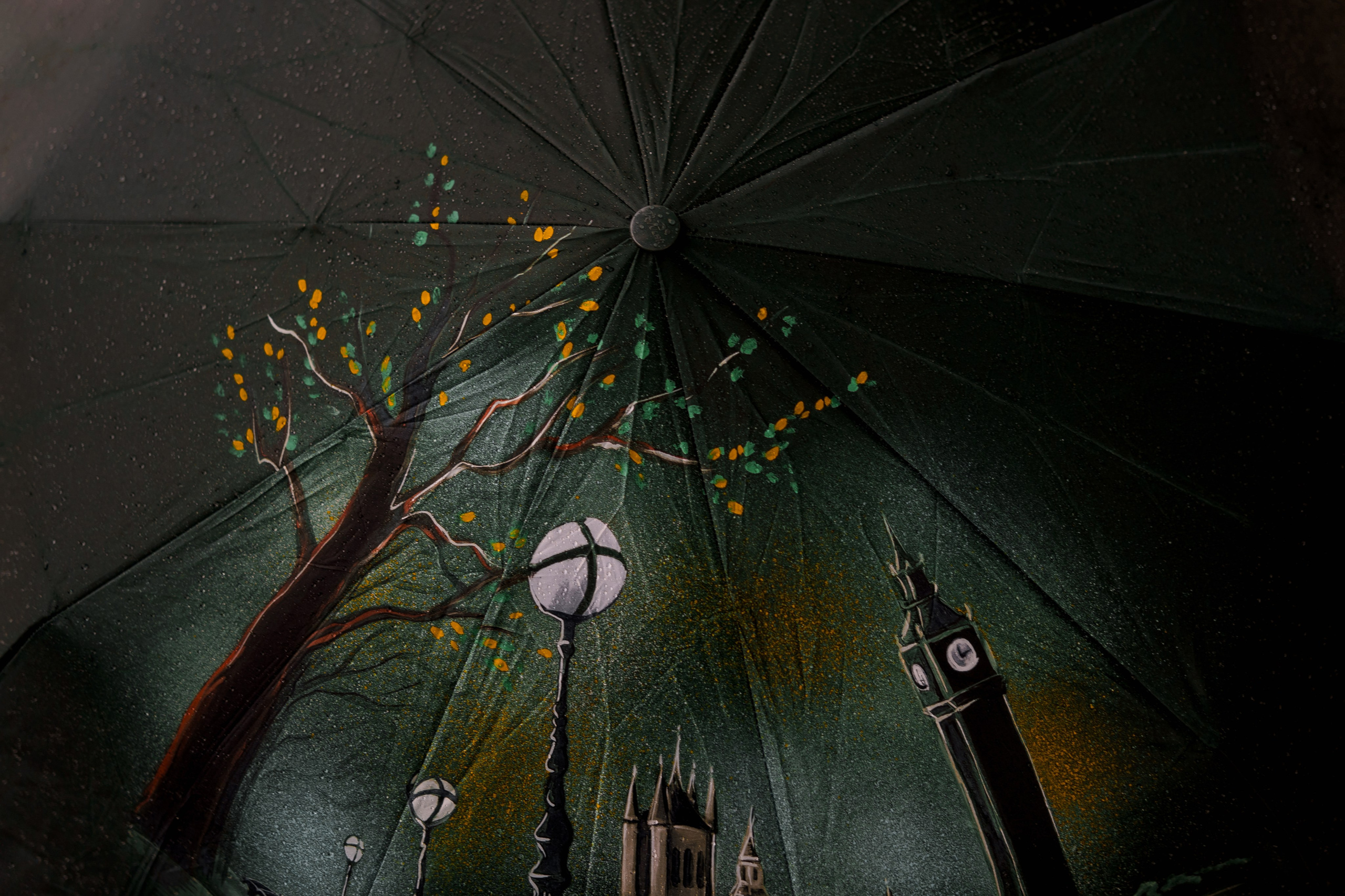 Family love. Свадебный фотограф Решетников Дмитрий