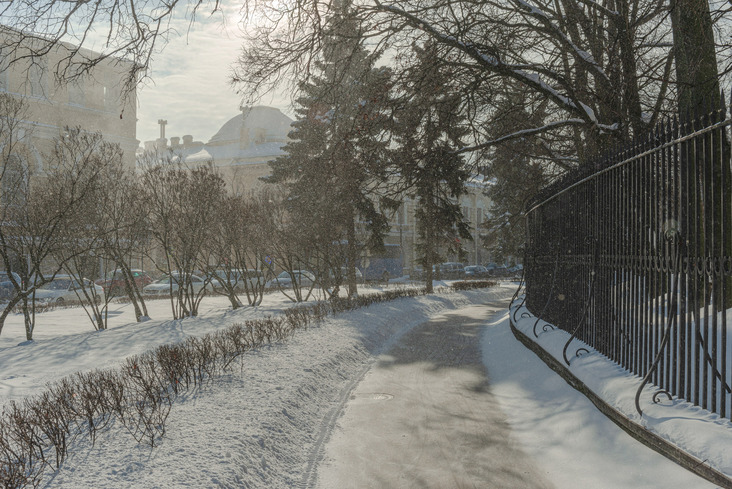 SAINT PETERSBURG. Personal website of photographer Dmitry Raikin