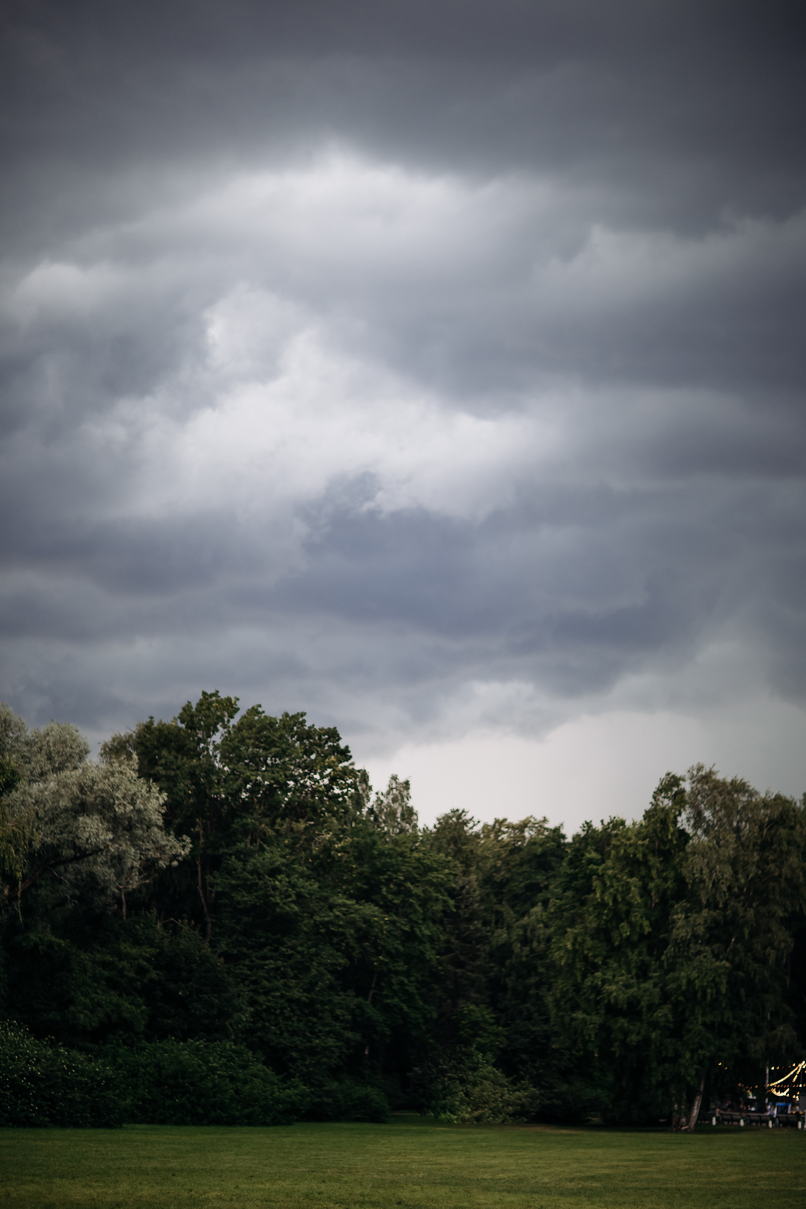 Дарья и Алексей. Ваш фотограф — Александра Андрущенко