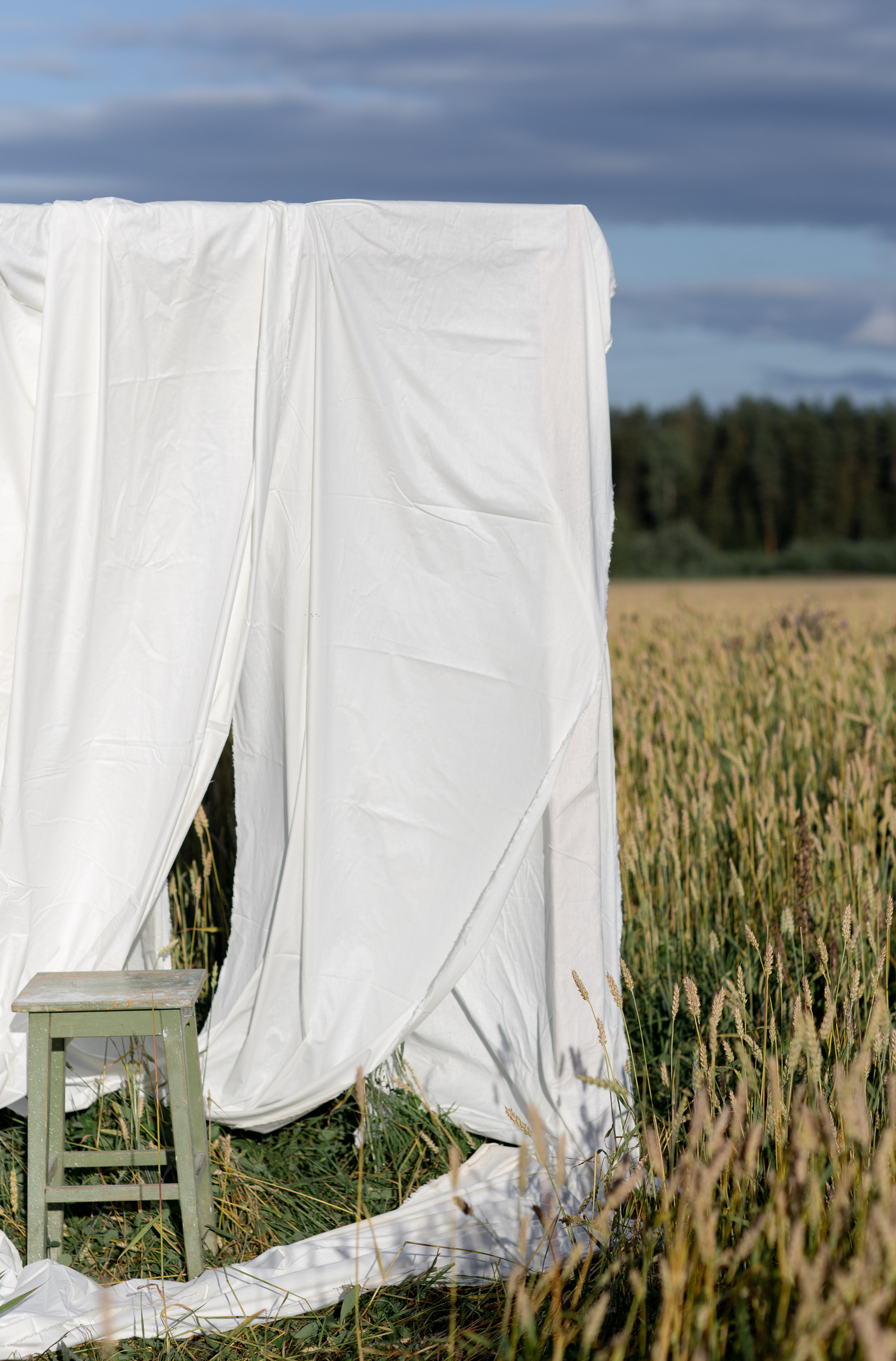 Маша, Алиса и Василиса. Ваш фотограф — Александра Андрущенко