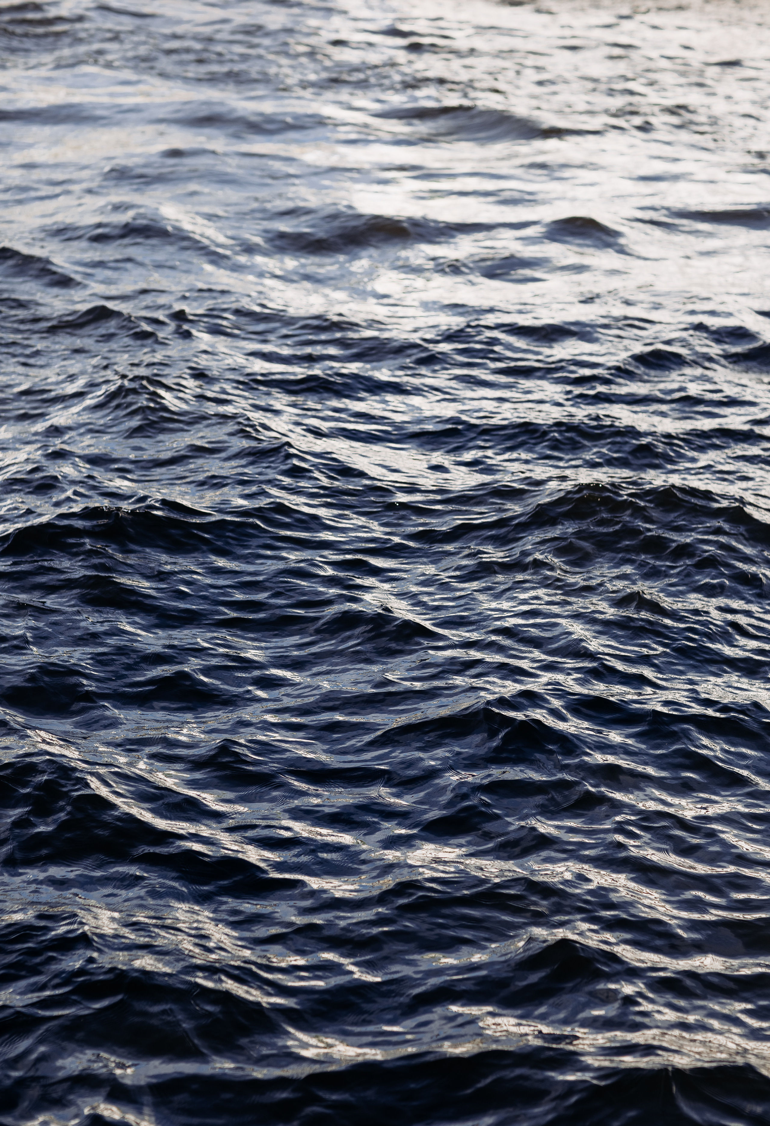 Анна и Евгений. Ваш фотограф — Александра Андрущенко