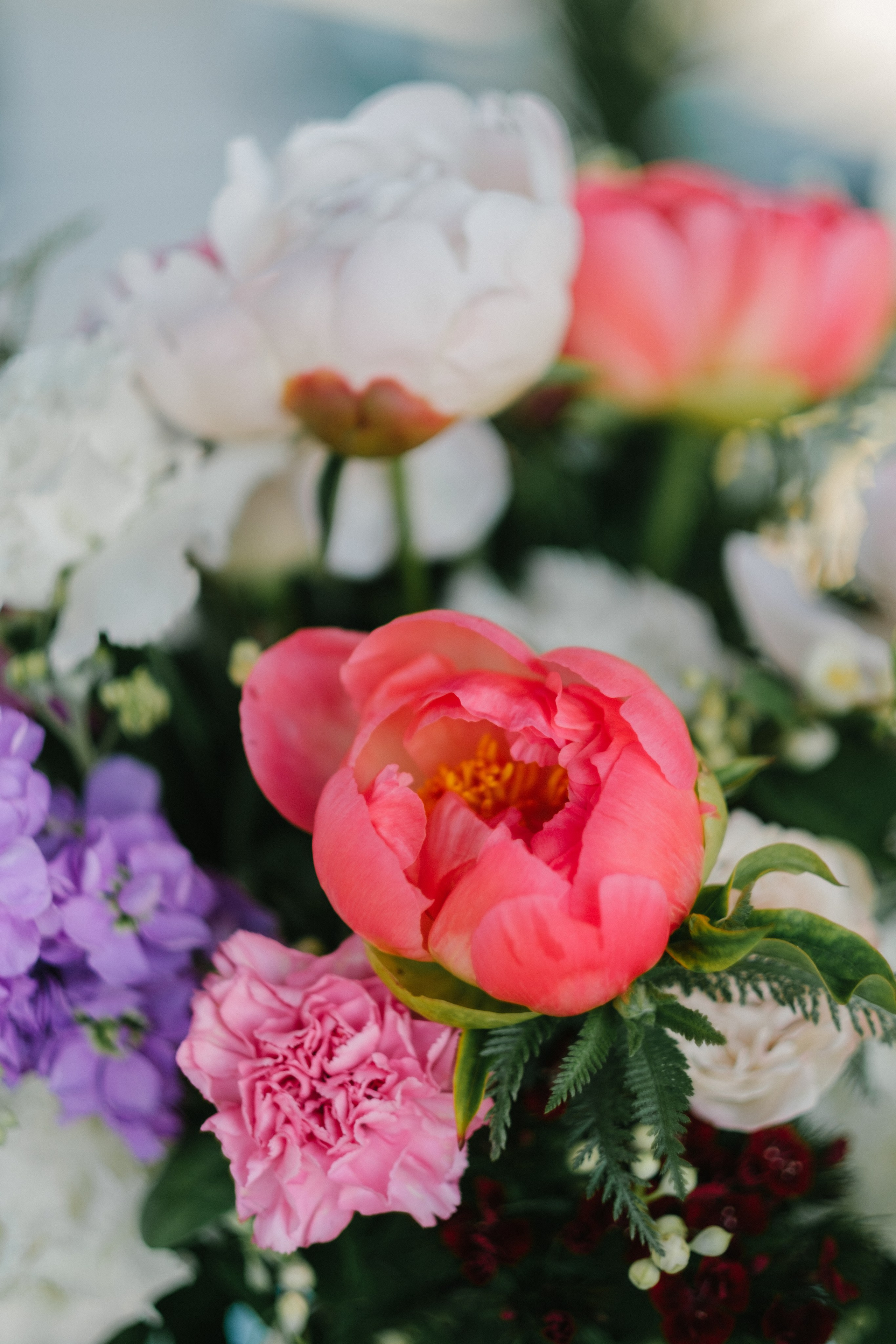 Морской. Свадебный Видеограф Фотограф в Сочи