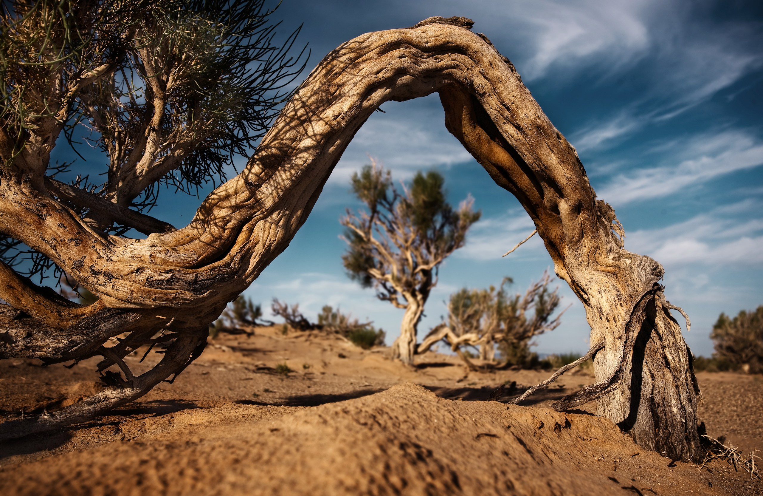 Монголия. Фотограф Владимир Медведев