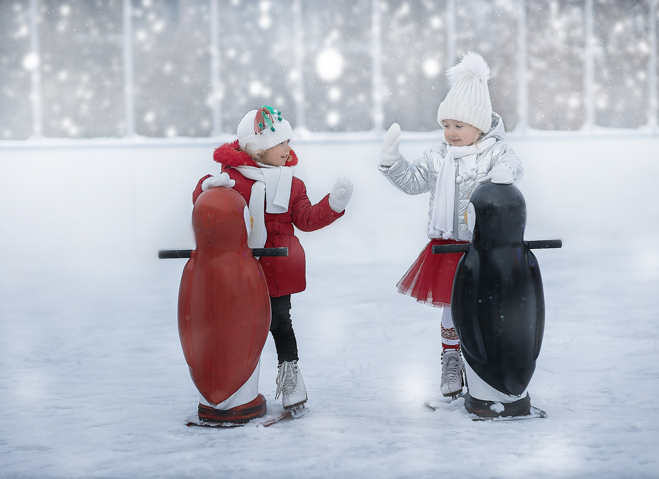 Каток. Красивые фото