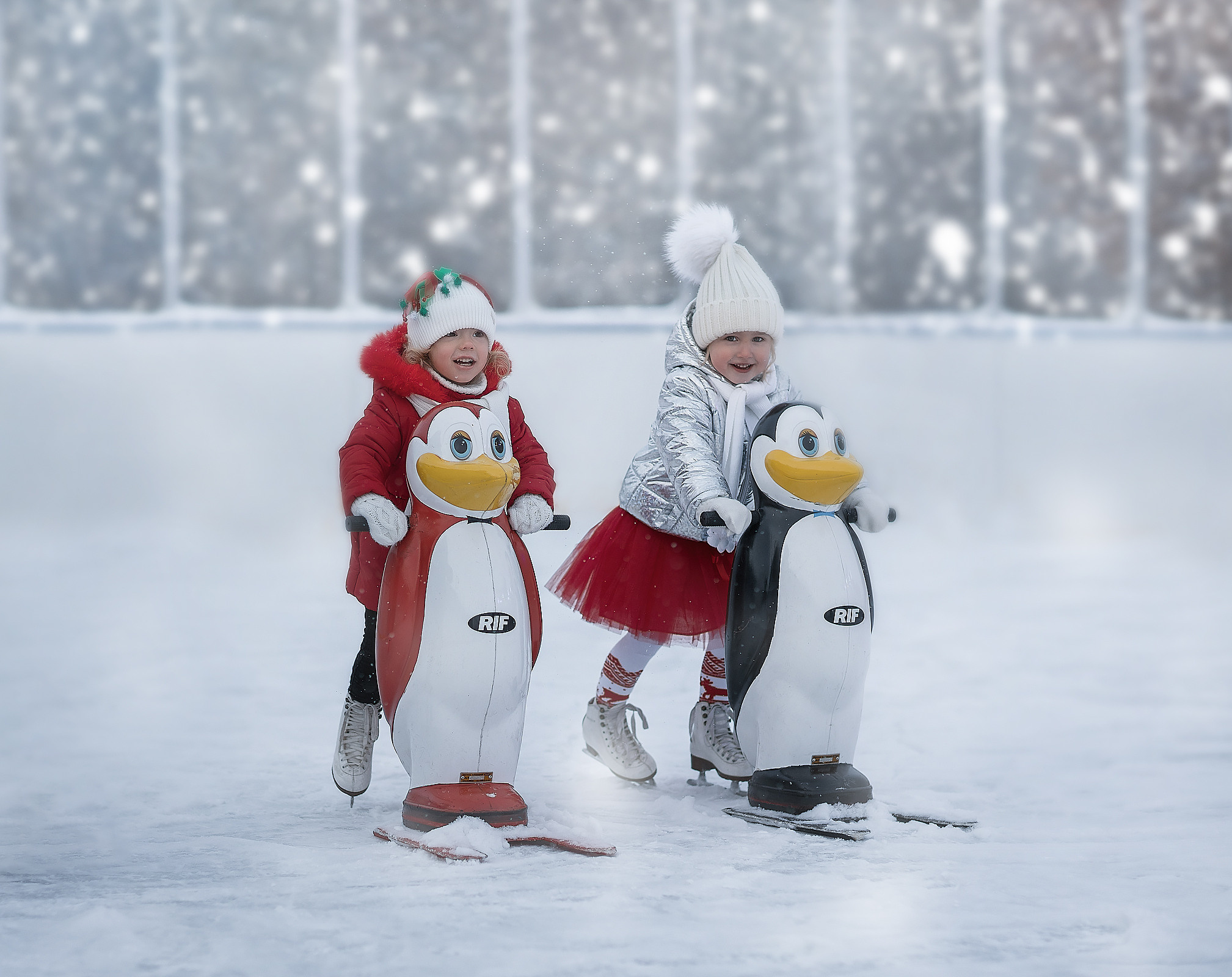 Каток. Красивые фото