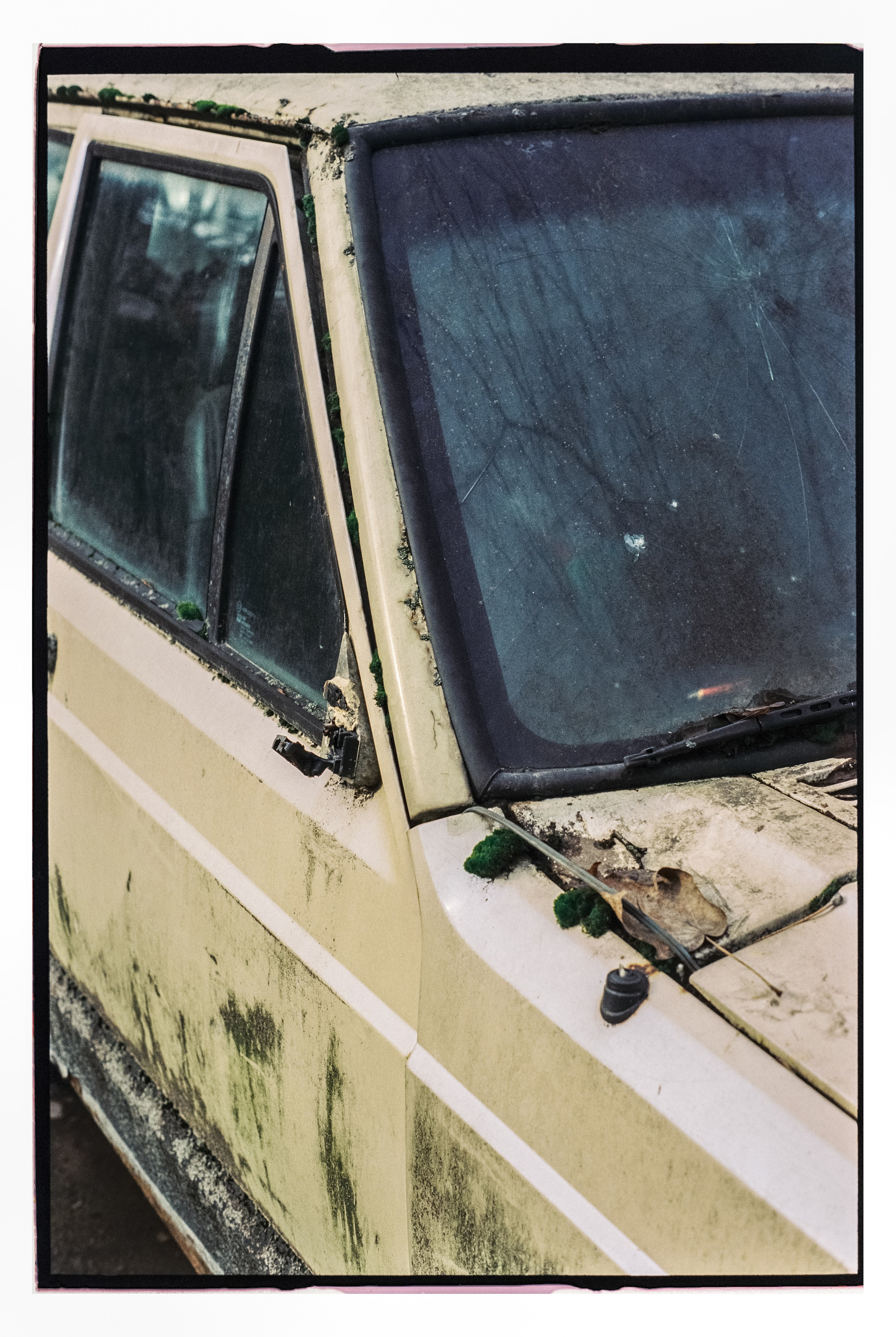 CARS. ANNA — PHOTOGRAPHER