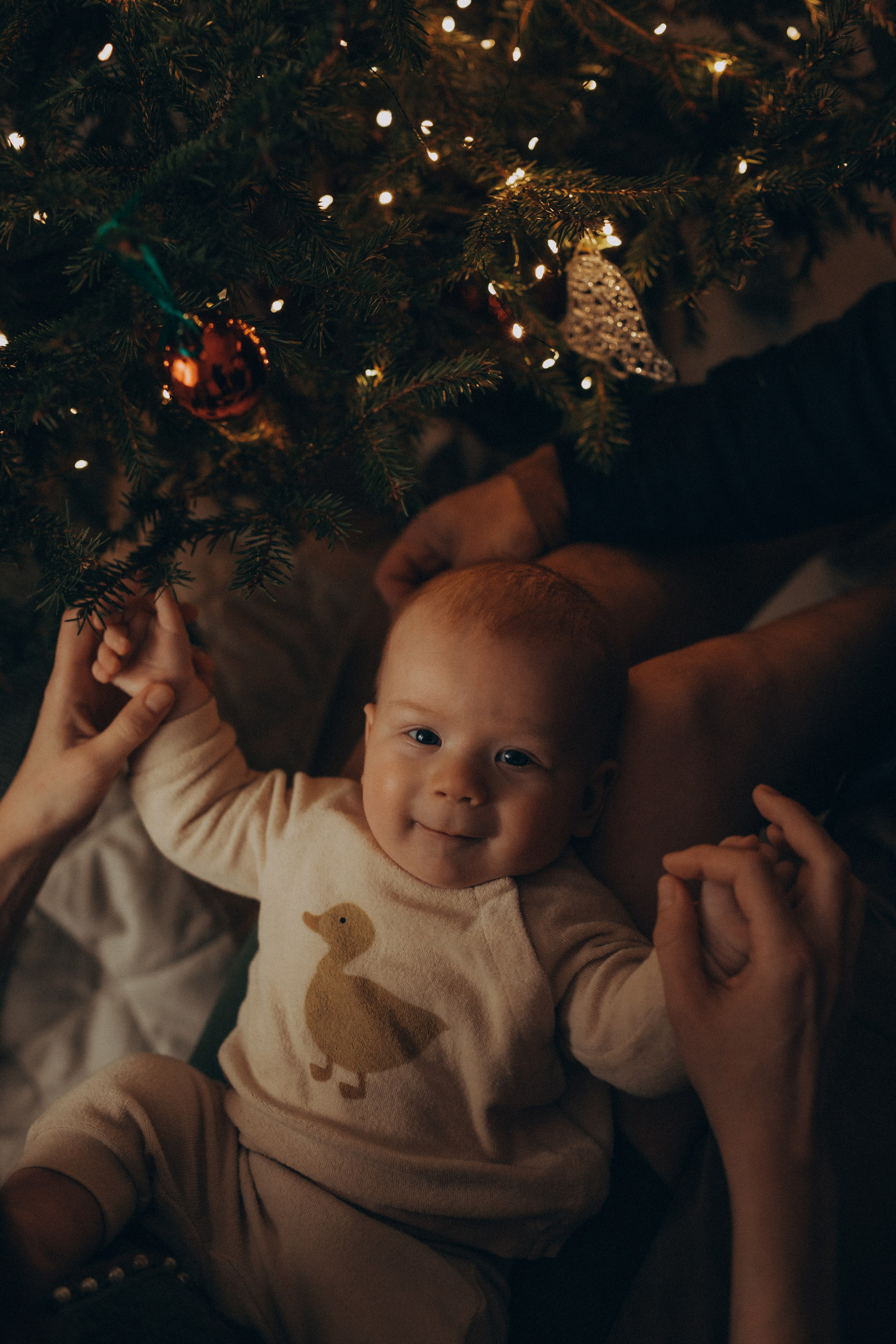 Lifestyle New Year малыши. Фотограф новорожденных в Ярославле Ольга Зимина