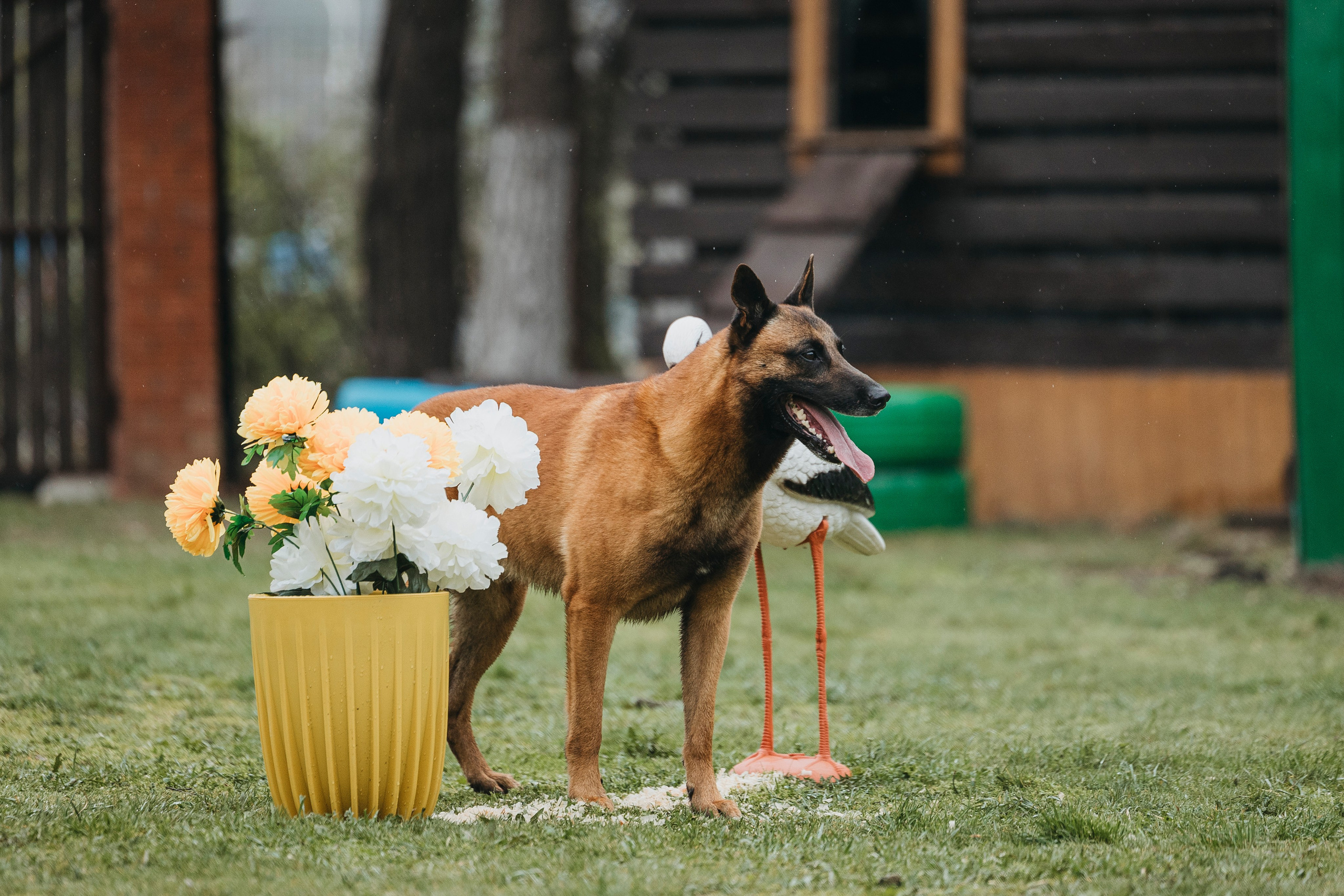 Геленджик Мондьоринг. Фотограф-анималист Анна Маринич