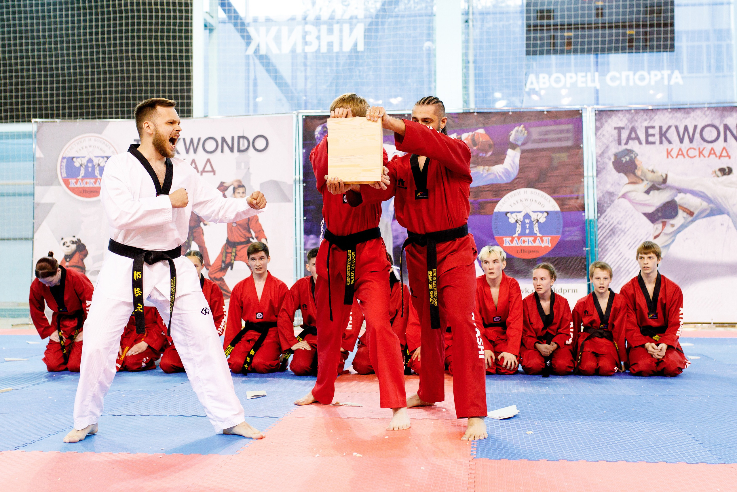 Тхэквондо СК «Каскад». Фотограф Дмитрий Молчанов | Фотограф Пермь | Фотограф