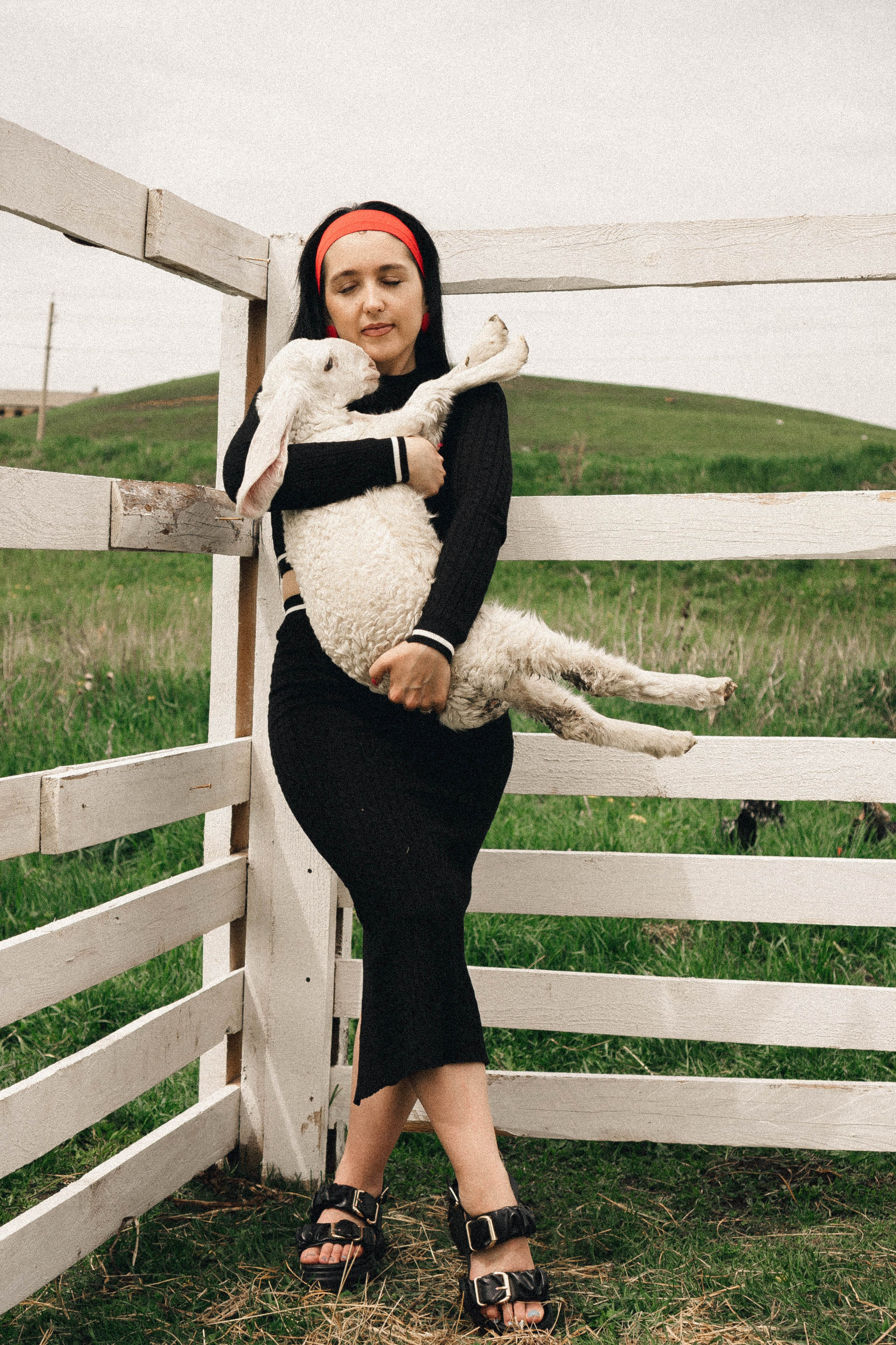 Ферма Альпак. Профессиональный фотограф, Санкт-Петербург — Виктория Богомолова