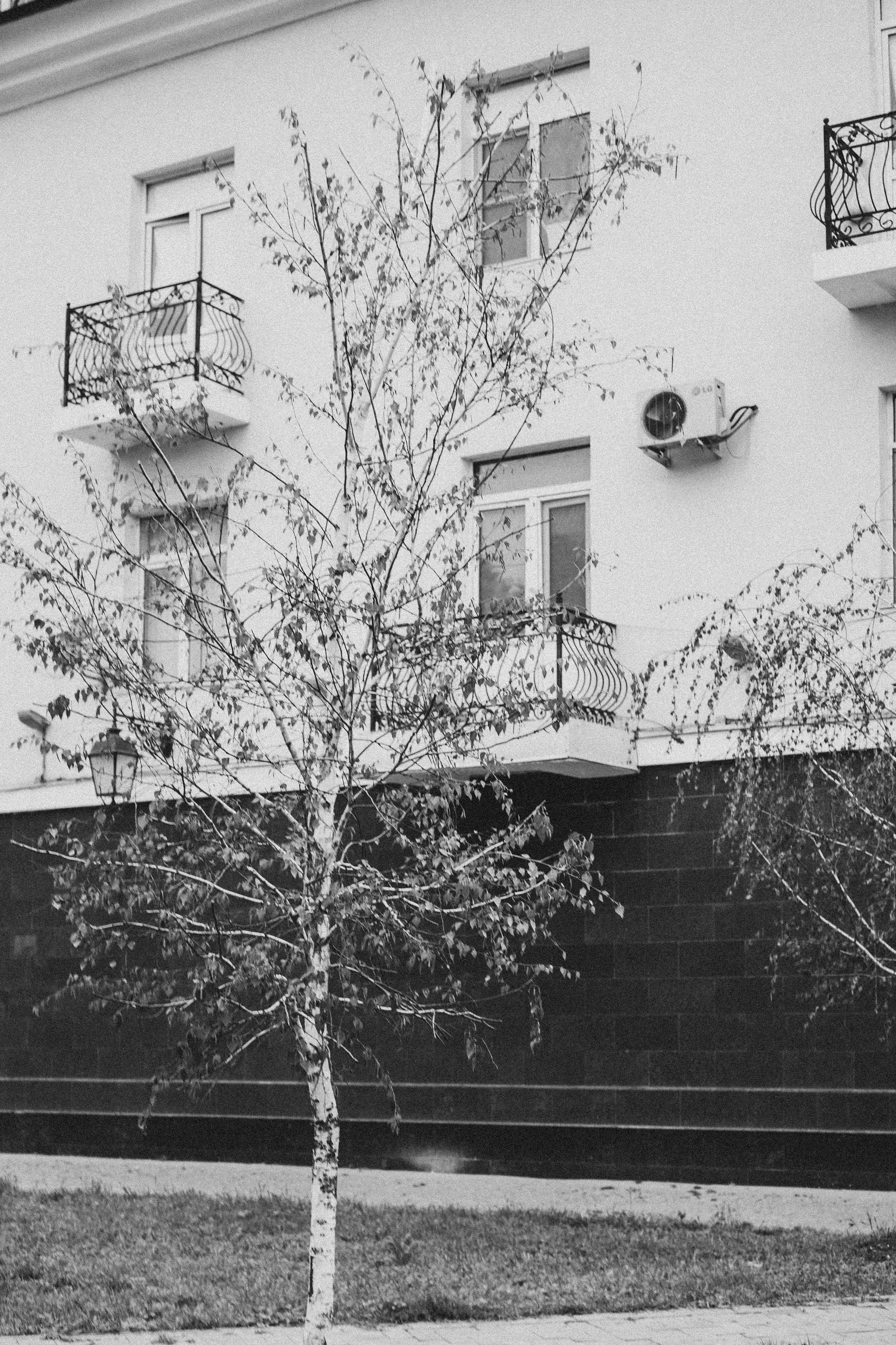 Кавказ. Профессиональный фотограф, Санкт-Петербург — Виктория Богомолова