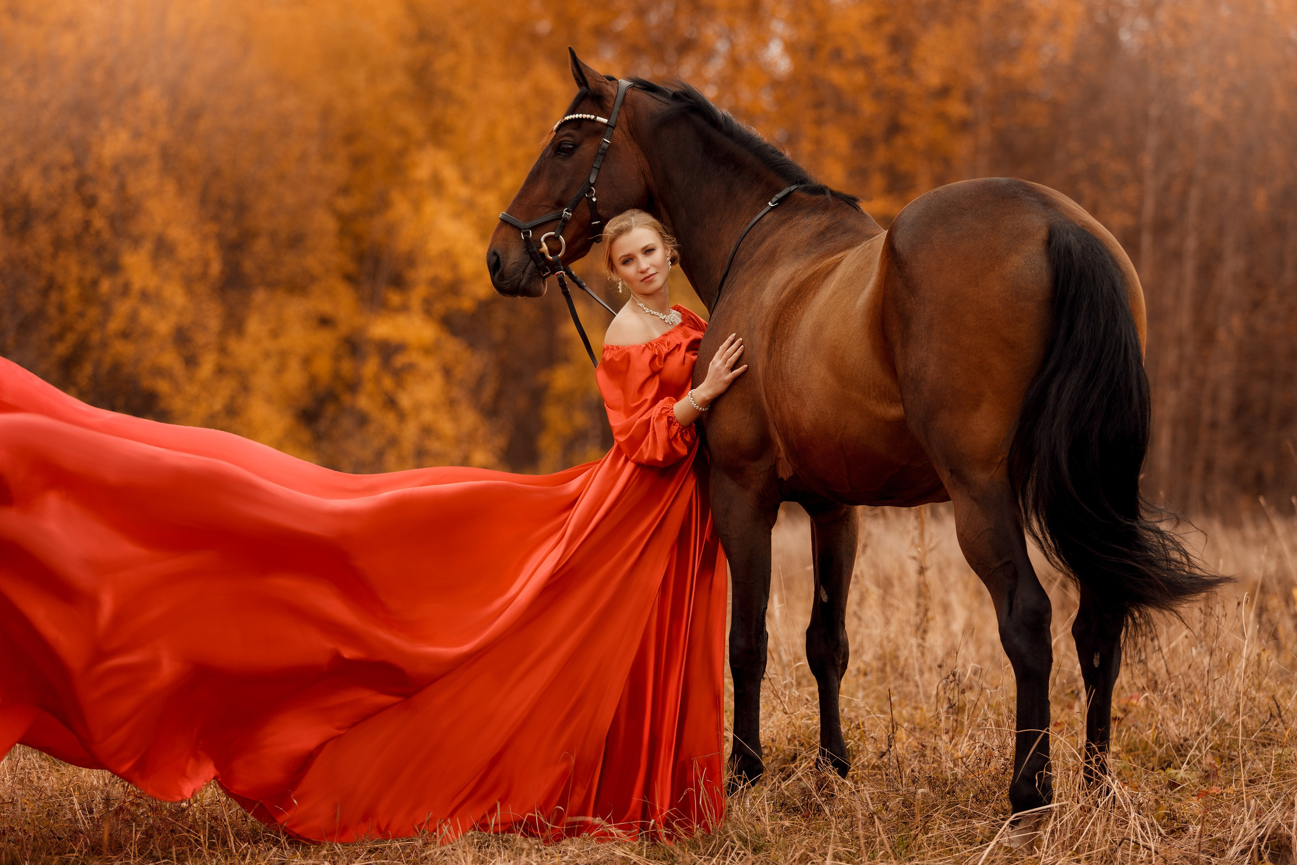 Фотосессии с лошадьми. Фотограф Артемьева Катерина|фотосессии с лошадьми