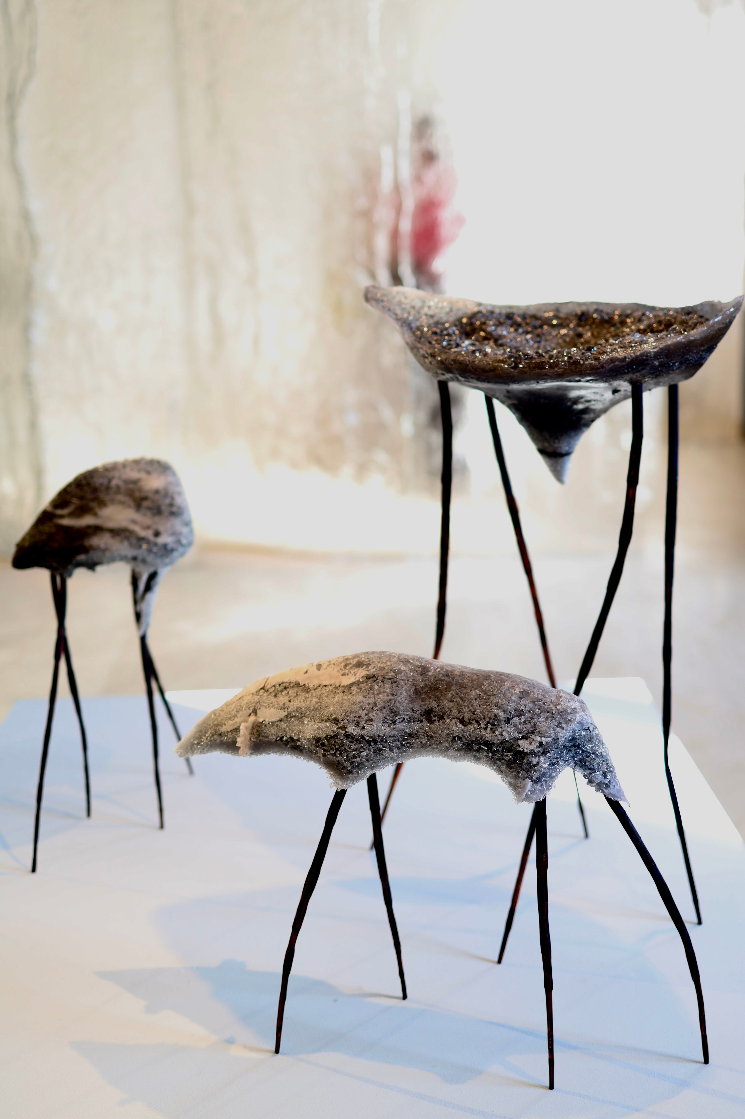 Выставка Степени прозрачности. Фотосессии и репортаж — Фотограф в Москве — Рина Серёгина