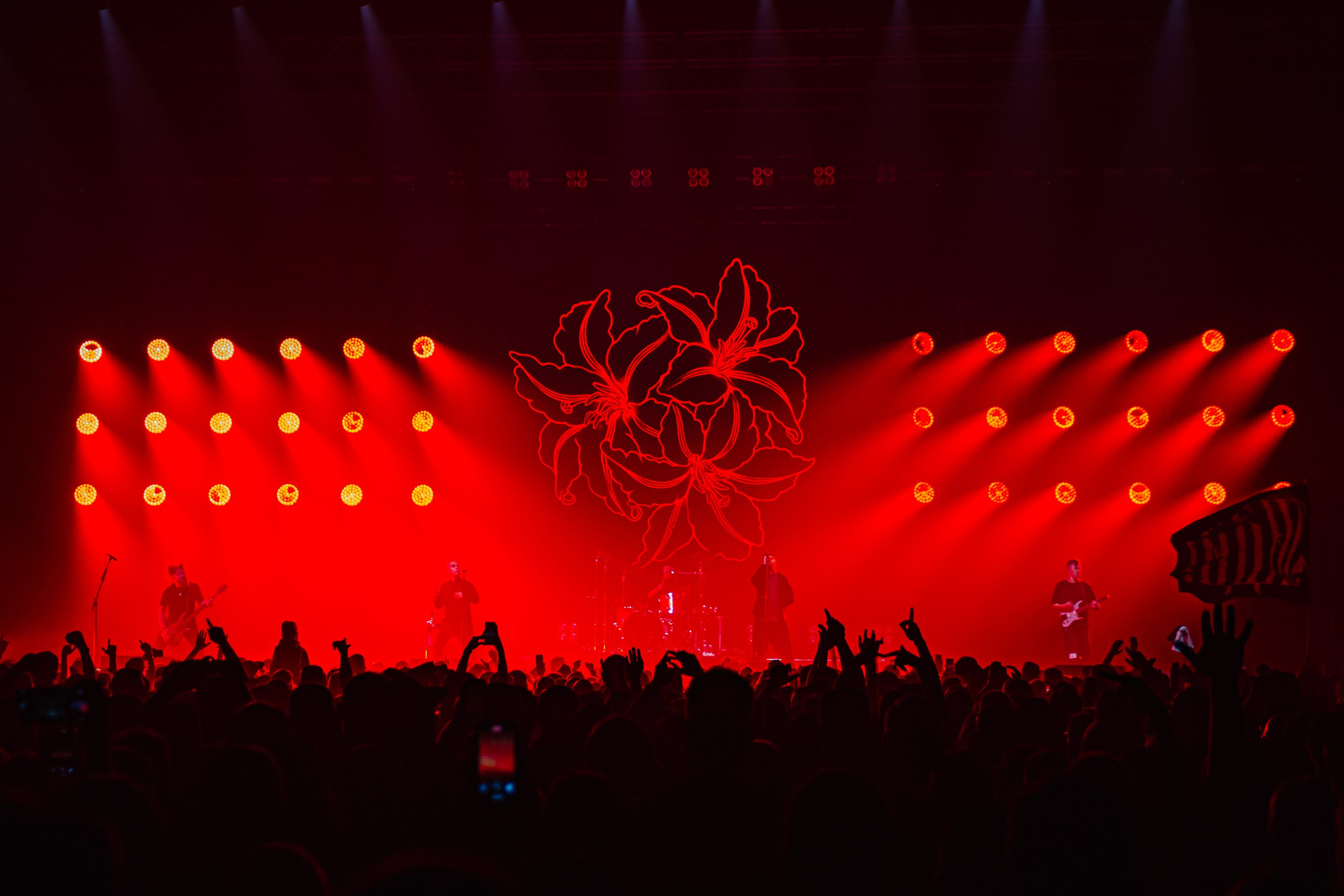 25/17 / САНКТ-ПЕТЕРБУРГ / 2024. OOPS