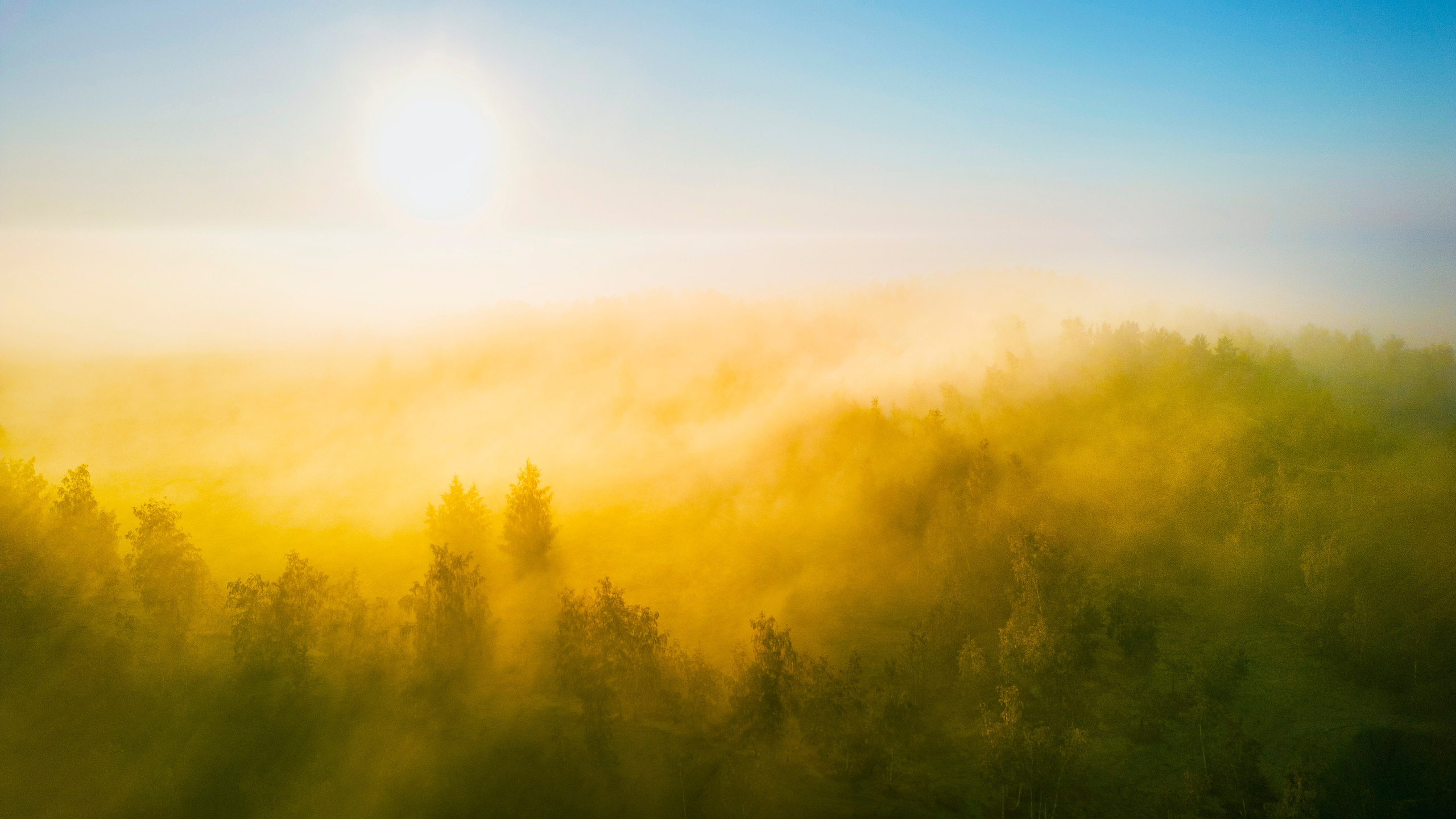 Акварель на Рассвете. Кондуки. Пейзажная и архитектурная фотография в Туле, Татьяна Silva
