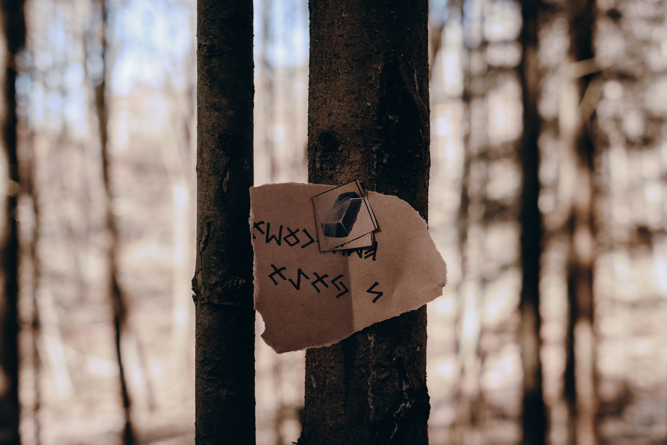 Стражи Огня: «Туманный Альбион» | Грани Миров. Фотограф Аннё| Москва