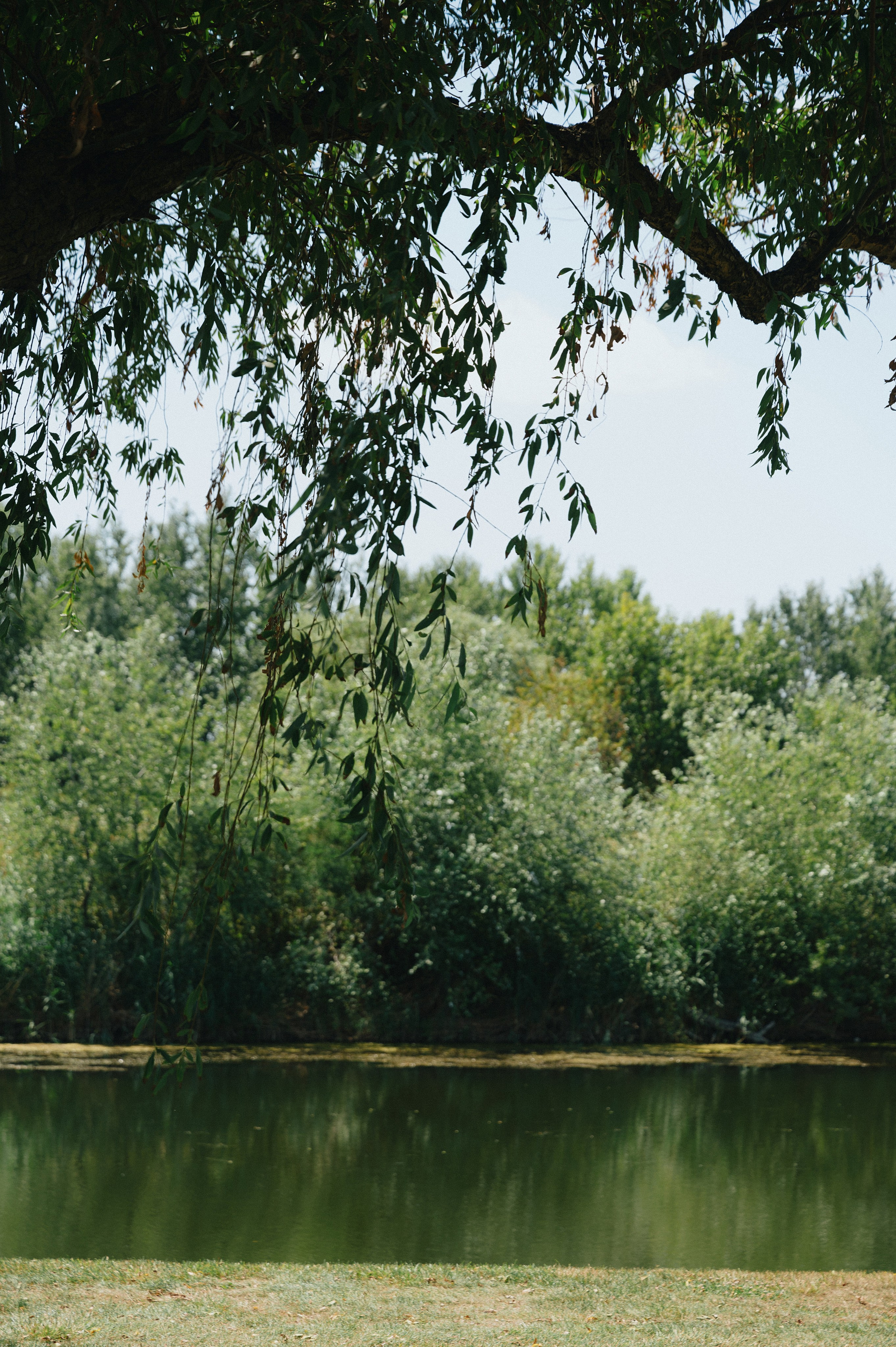 Богдан и Катя. Гольф клуб. Свадебный фотограф и видеограф