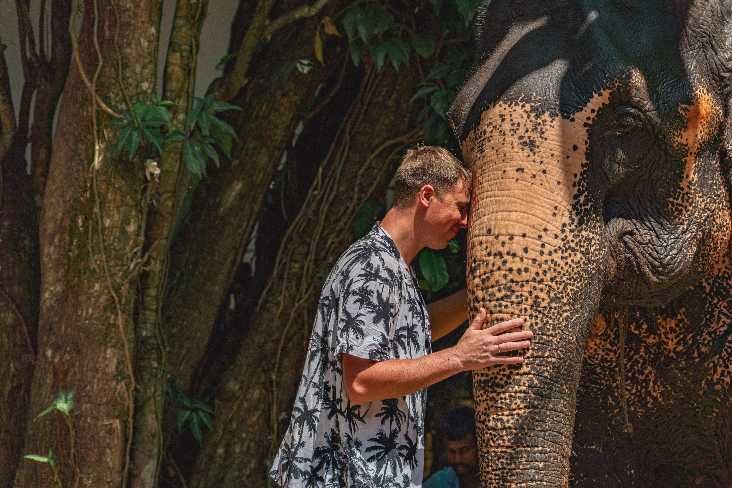 Bathing with elephants in Pinnawala, Botanical Garden