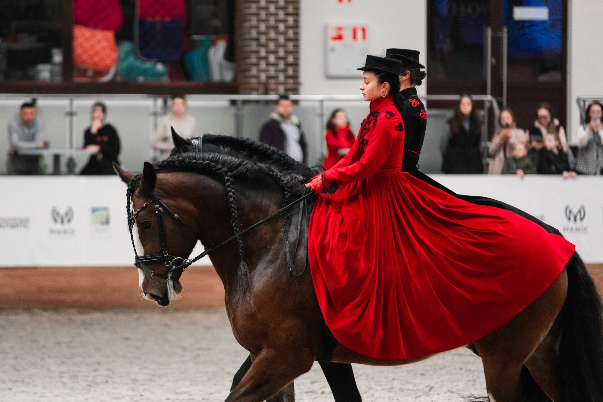 8-я международная выставка Конная Россия. Конный фотограф Куракина Дарья • Фотосессии с лошадьми