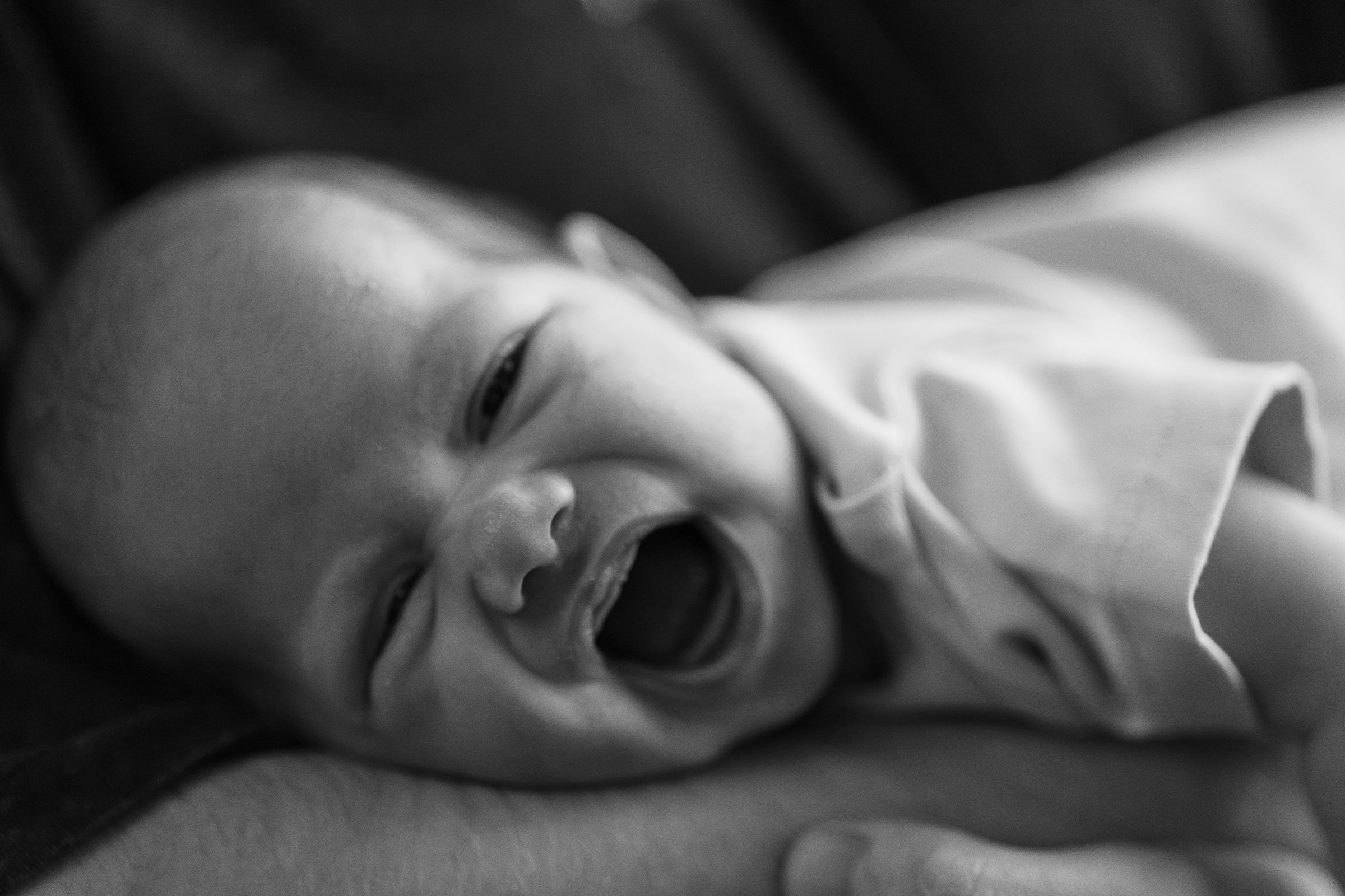 Месяц Александре. Фотограф Москва