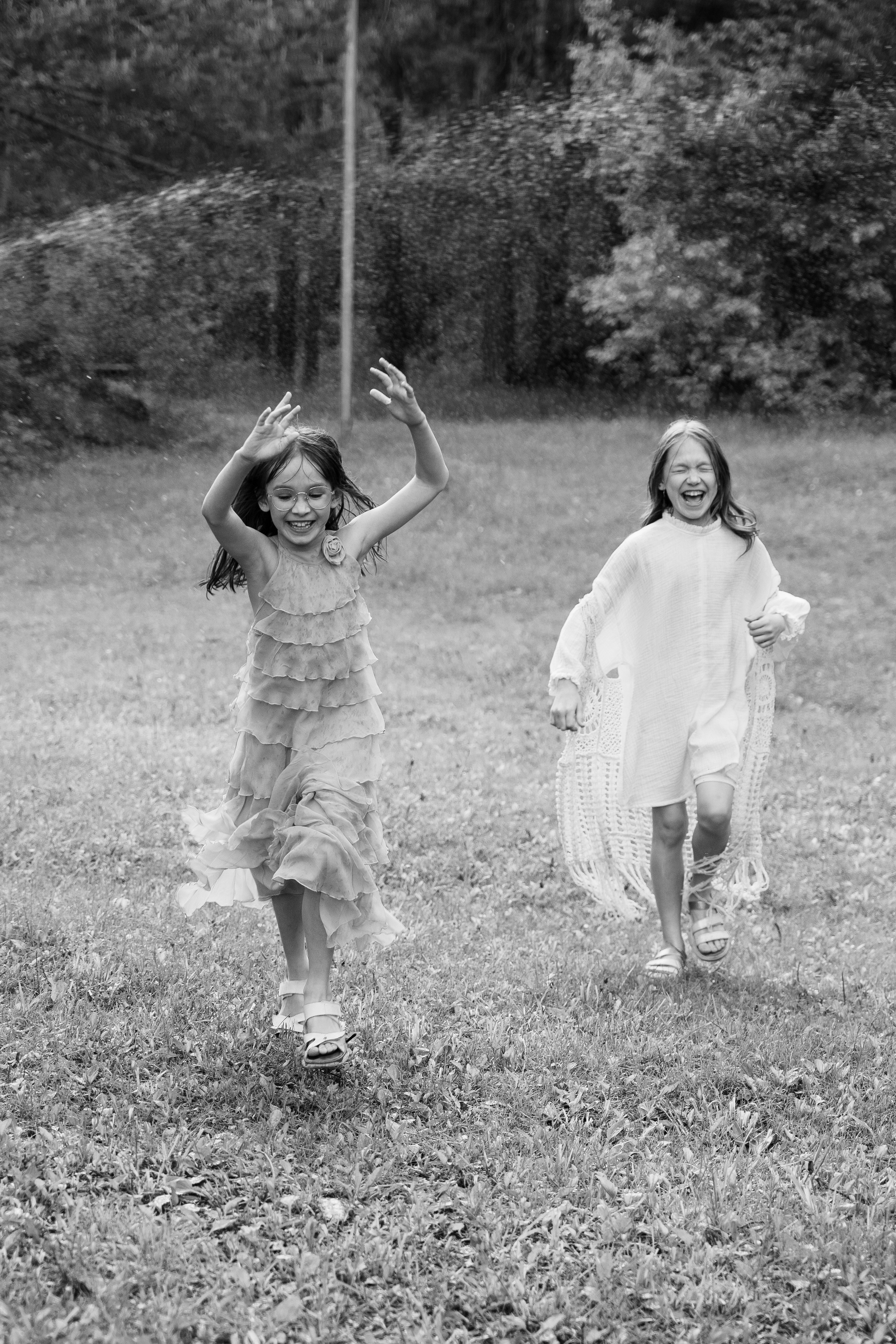 Семейная история с лошадьми. Главная