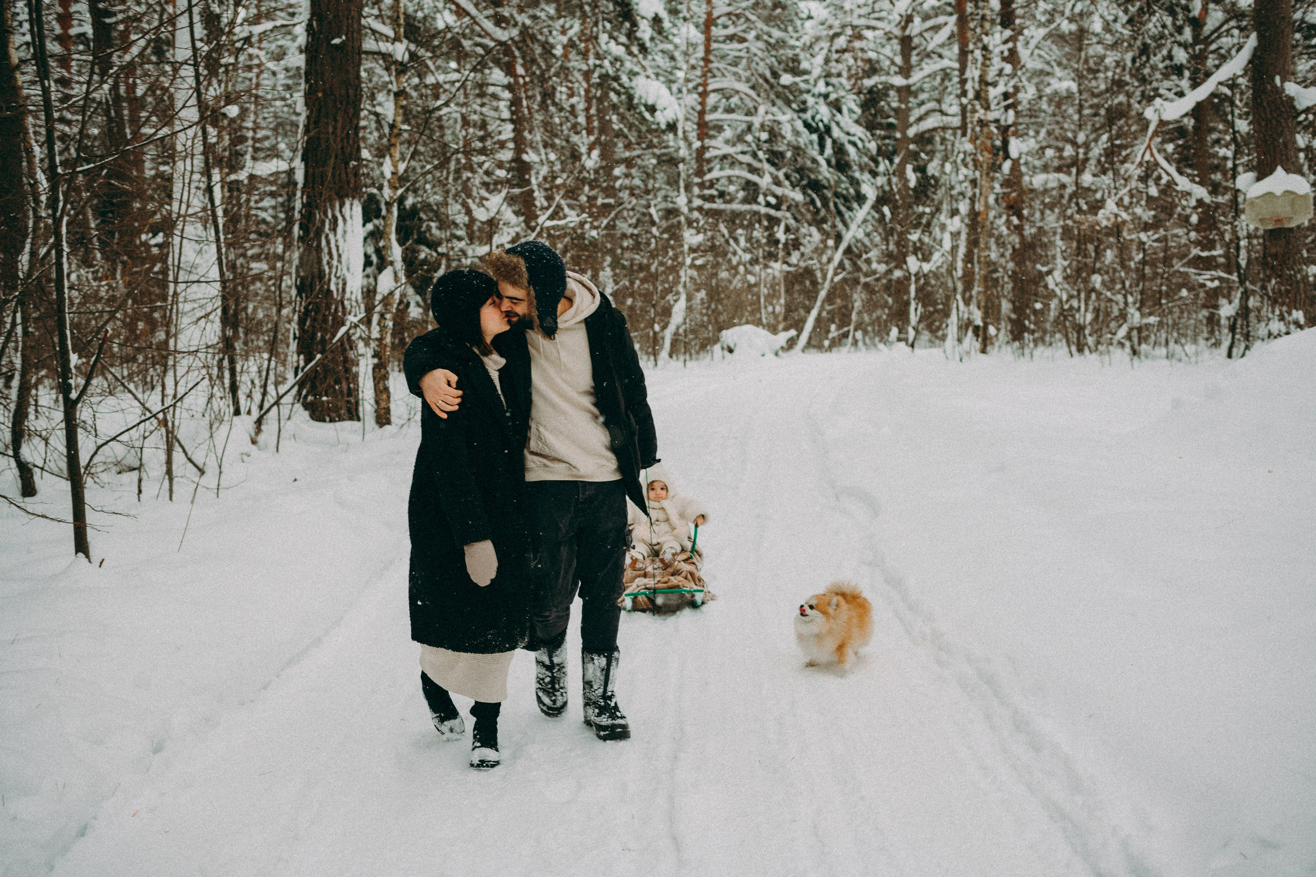 Семейные фотосессии. Фотограф Алиса Чечина. Калуга. Товарково