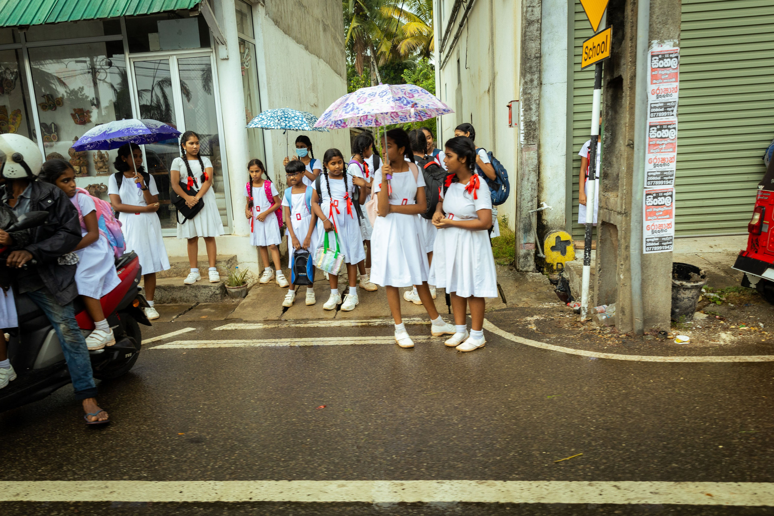 Шри-Ланка (весна 2024). Фотограф Виноградов Константин