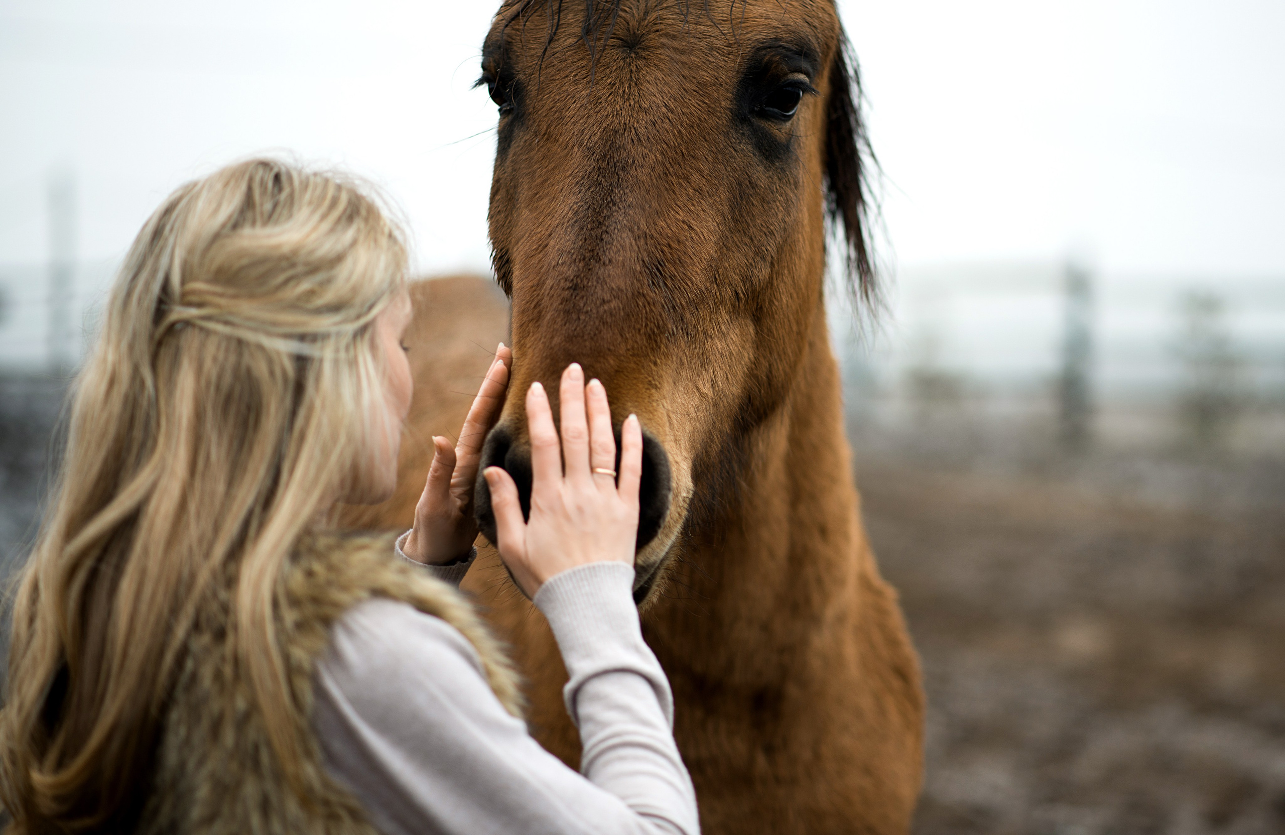 У добрых вяток. Конный фотограф в Саратове Юлия Иванова