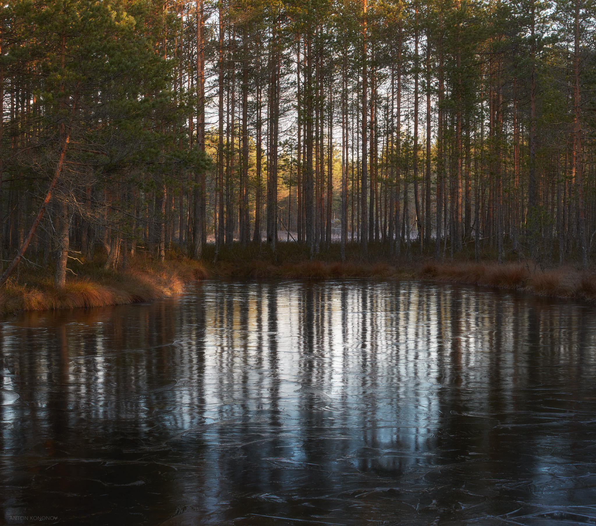 Озерно — болотные заповедники. Красота природы. Фотограф Кононов Антон