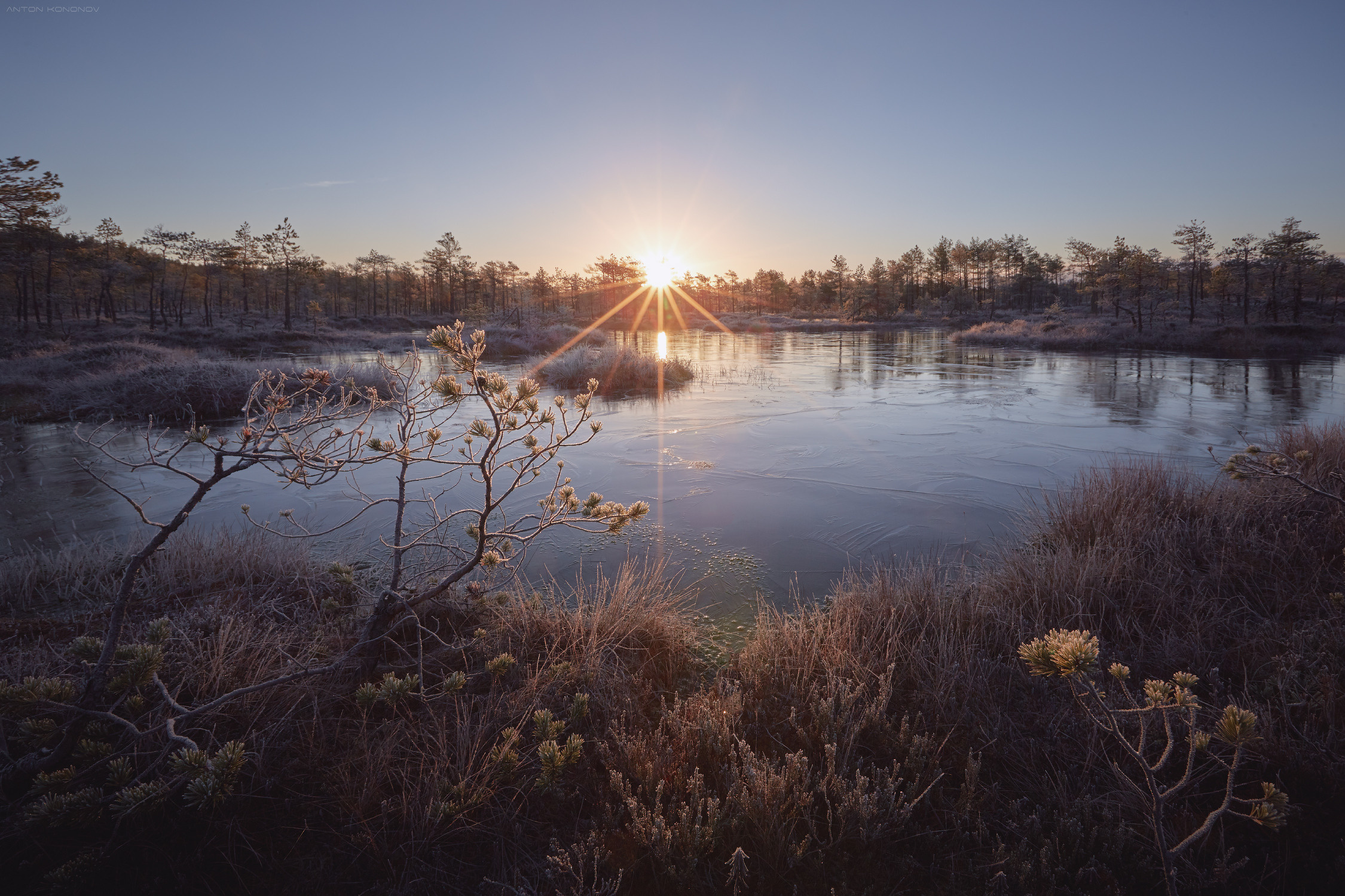 Озерно — болотные заповедники. Красота природы. Фотограф Кононов Антон