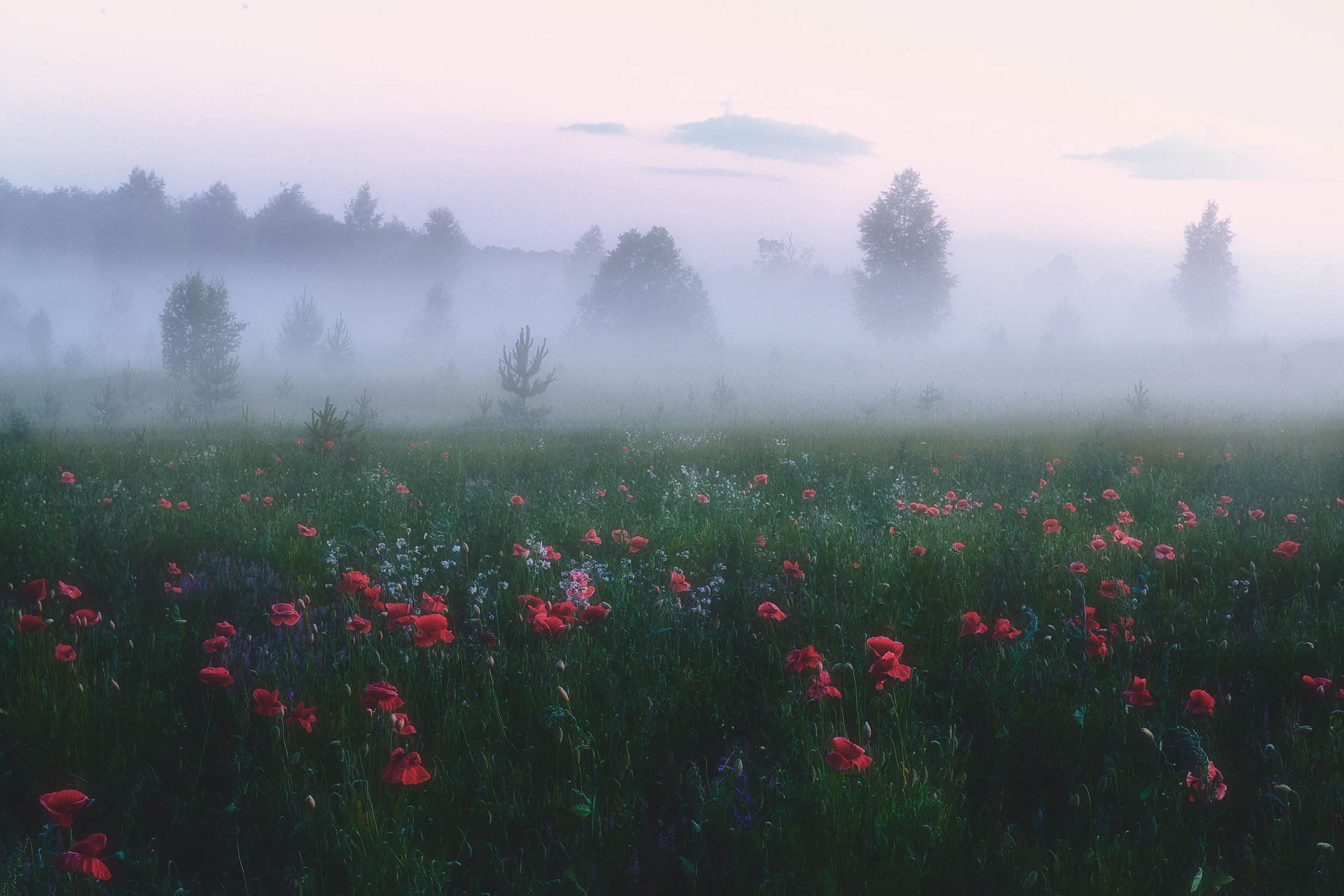 Новое. Красота природы. Фотограф Кононов Антон