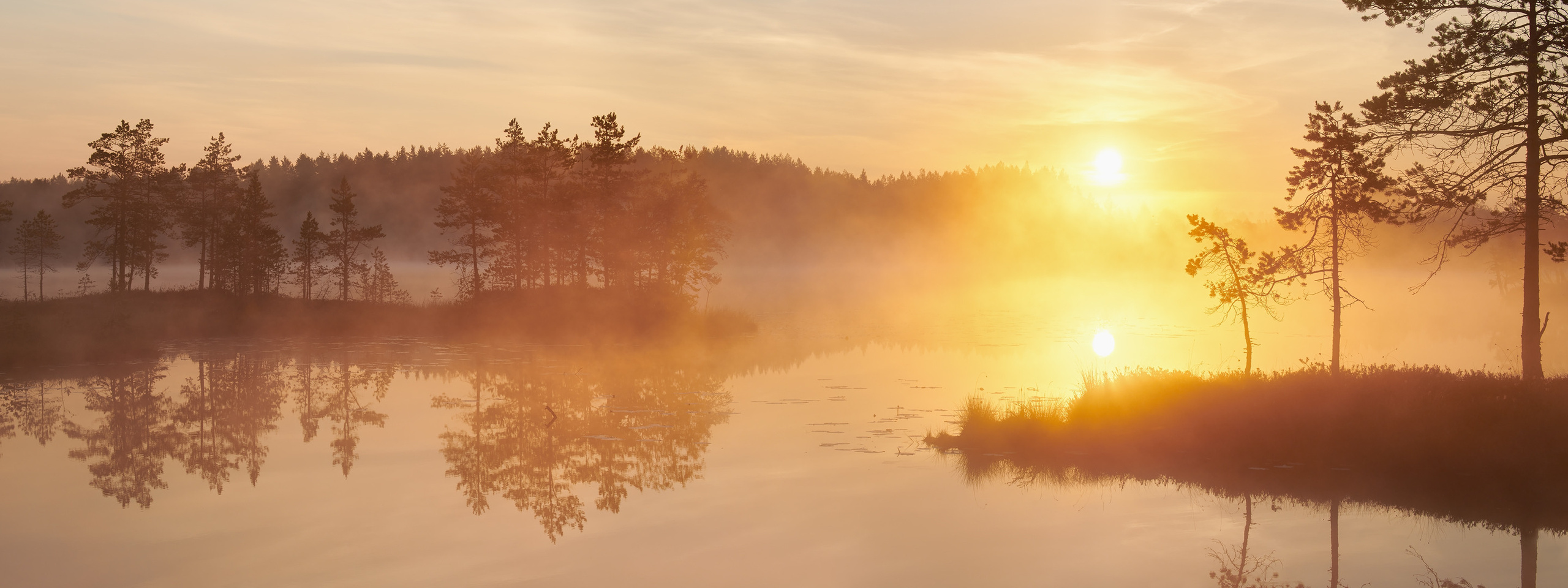 Озерно — болотные заповедники. Красота природы. Фотограф Кононов Антон