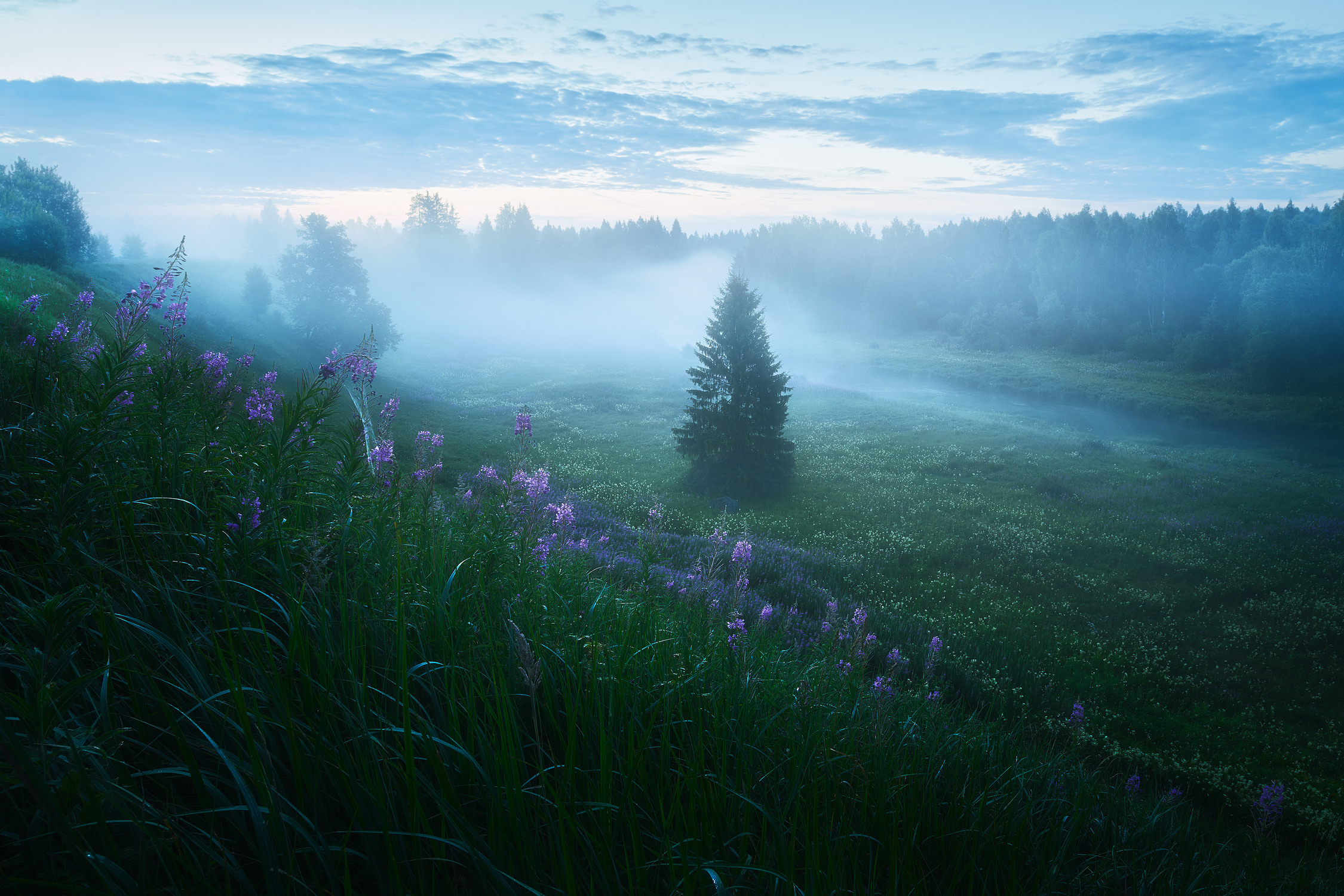 Заповедная река. Красота природы. Фотограф Кононов Антон