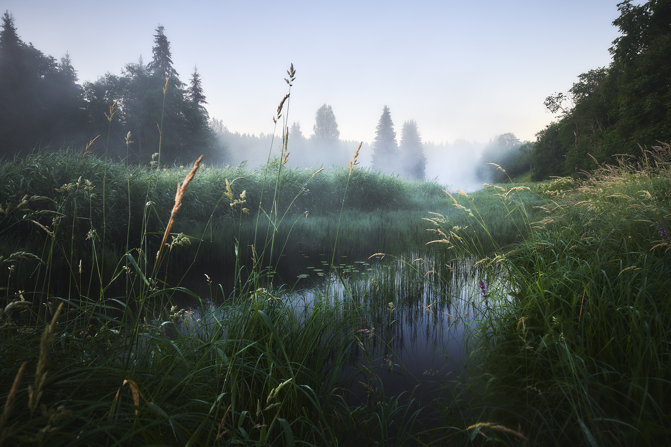 Заповедная река. Красота природы. Фотограф Кононов Антон