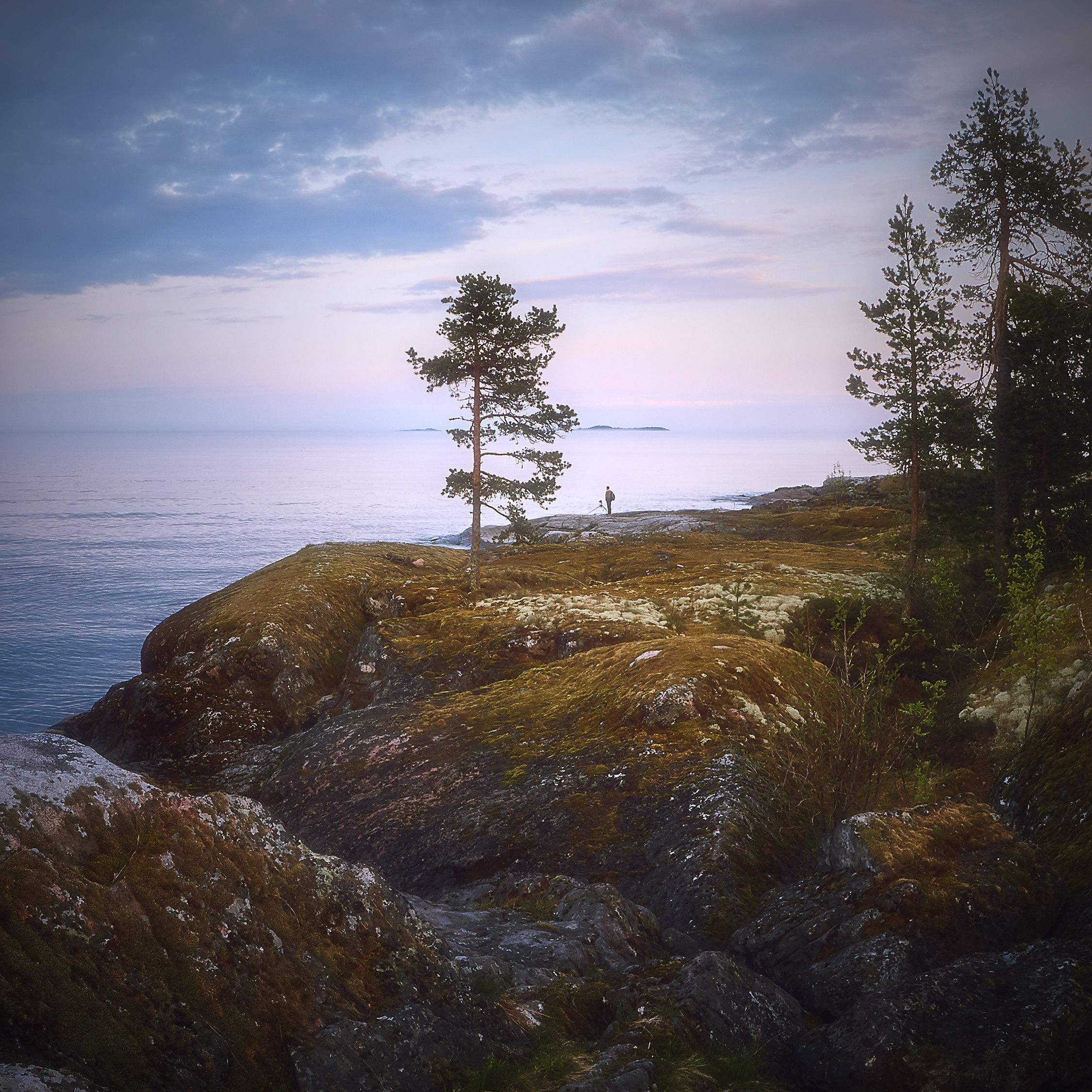 Новое. Красота природы. Фотограф Кононов Антон