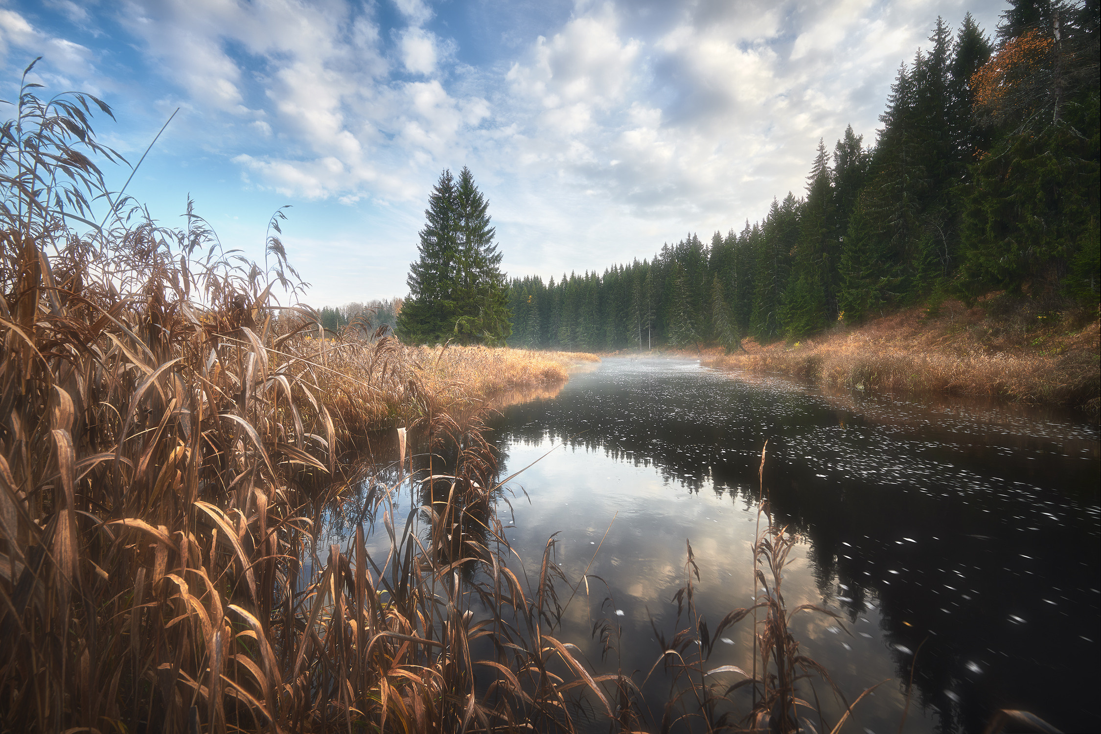 Заповедная река. Красота природы. Фотограф Кононов Антон