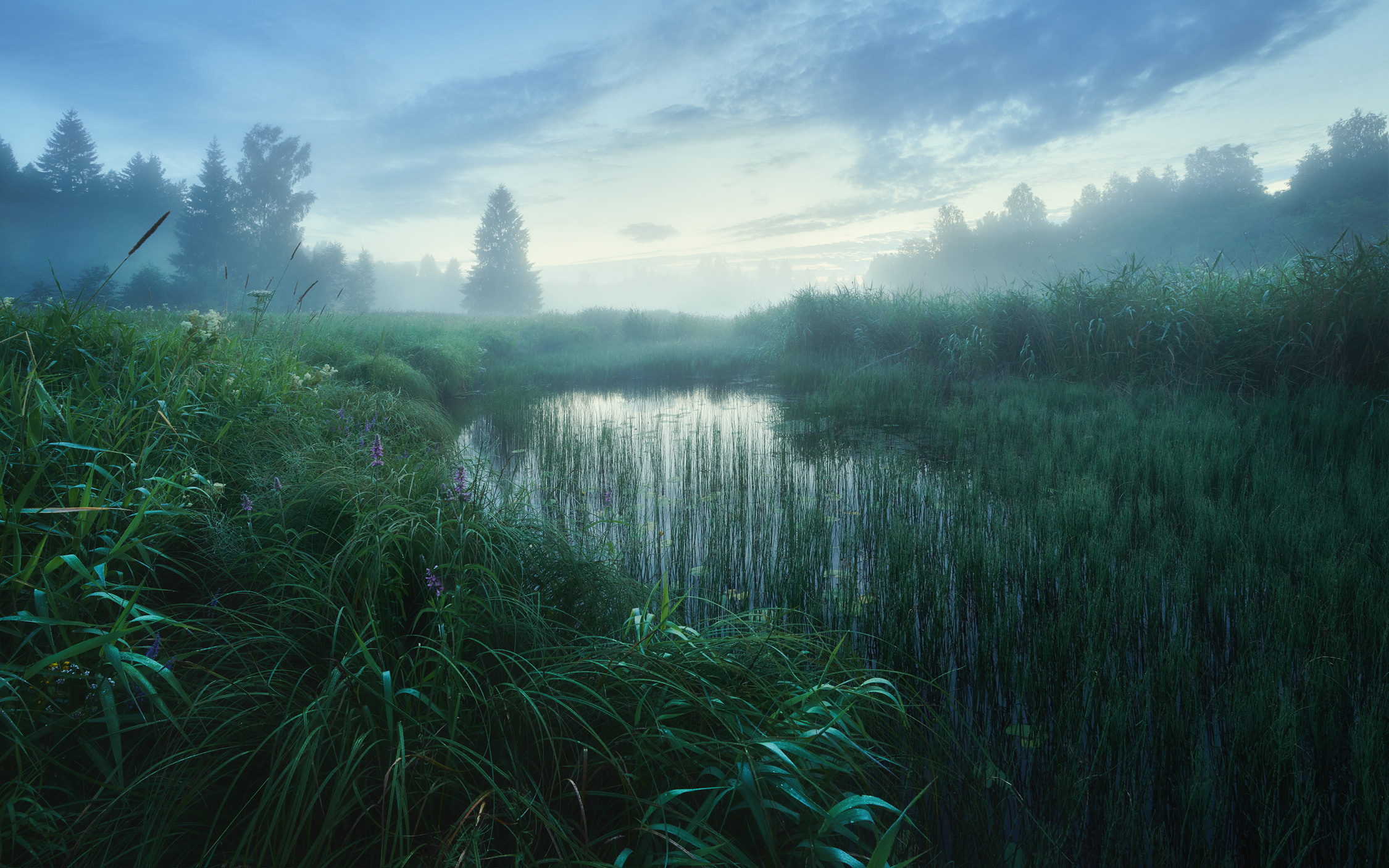 Заповедная река. Красота природы. Фотограф Кононов Антон