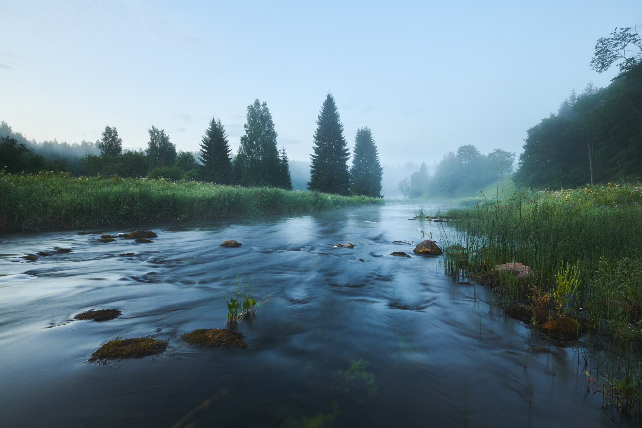 Заповедная река. Красота природы. Фотограф Кононов Антон