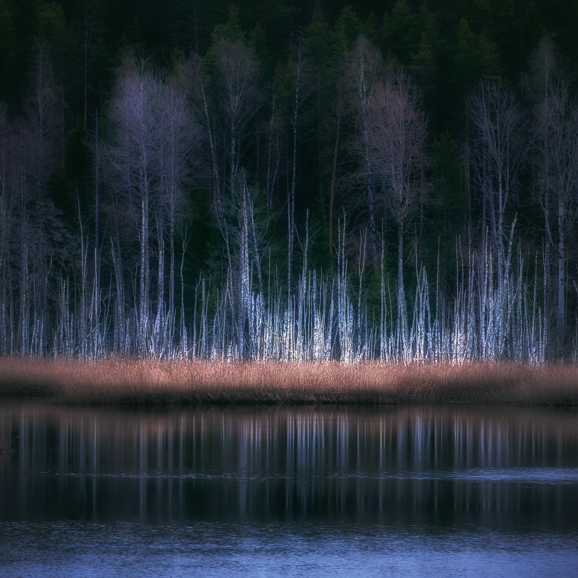 Lake Ladoga. The beauty of nature. Photographer Anton Kononov