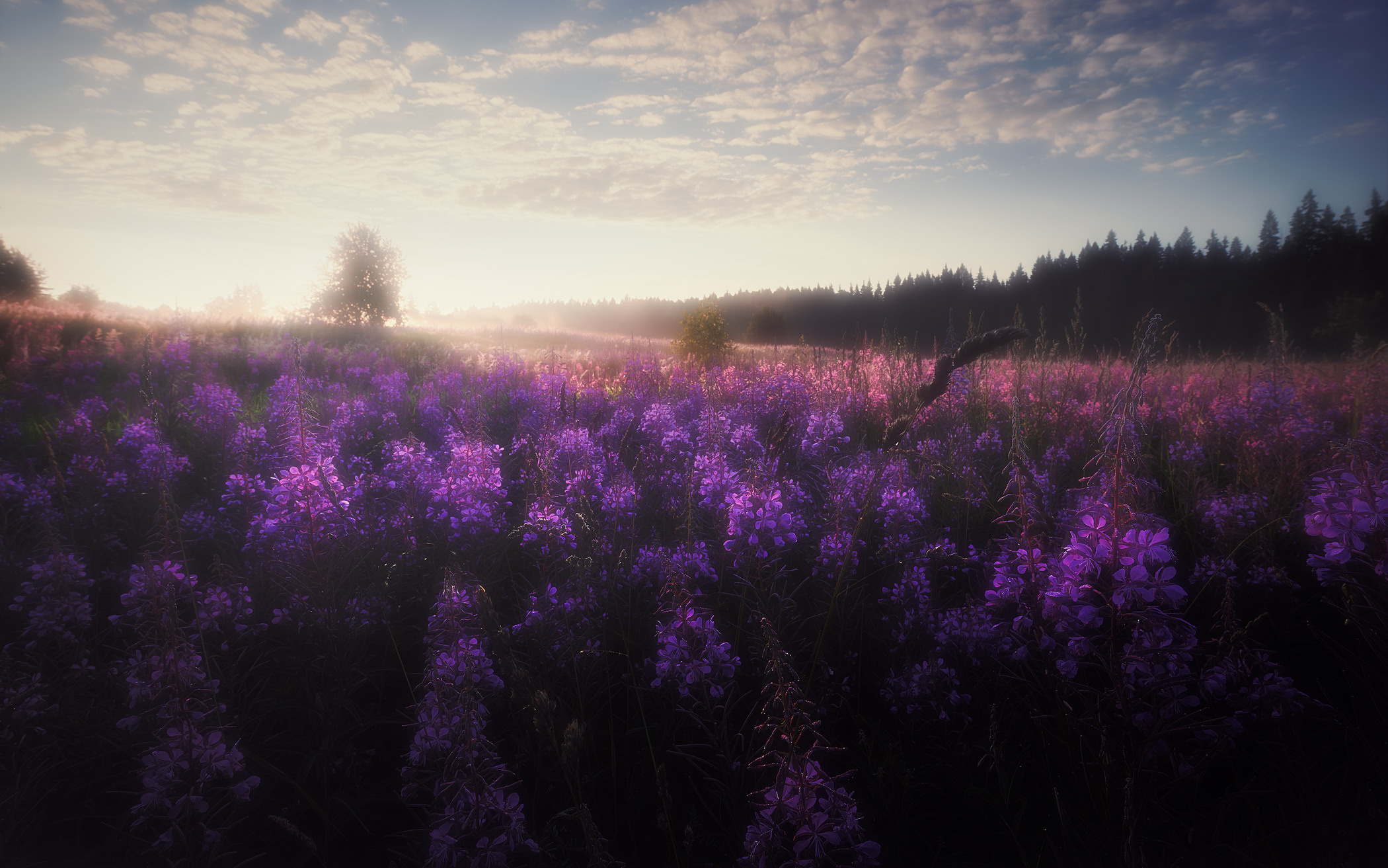 Заповедная река. Красота природы. Фотограф Кононов Антон
