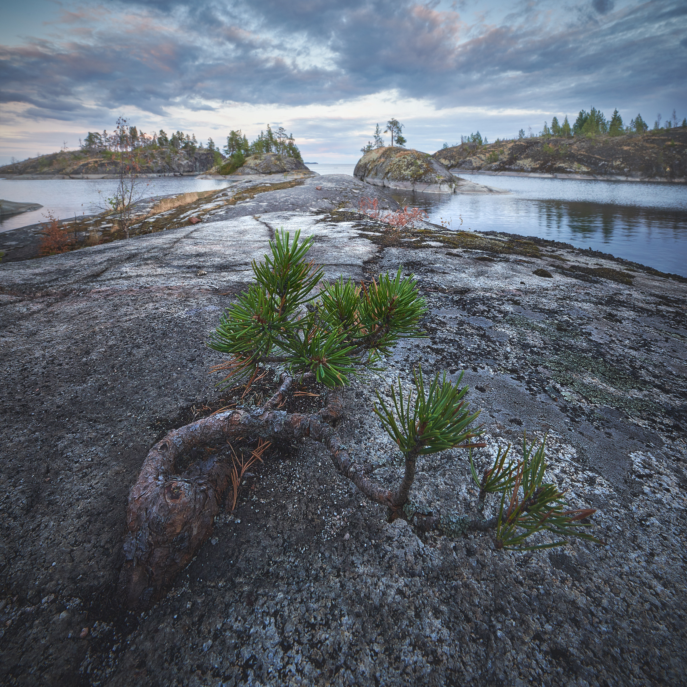 Lake Ladoga. The beauty of nature. Photographer Anton Kononov