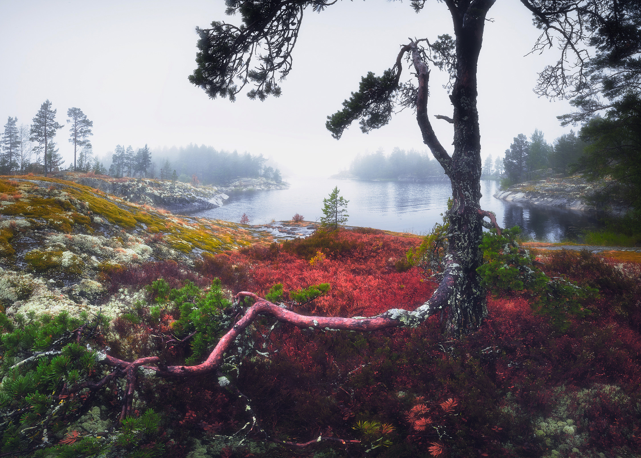 Красота природы. Фотограф Кононов Антон