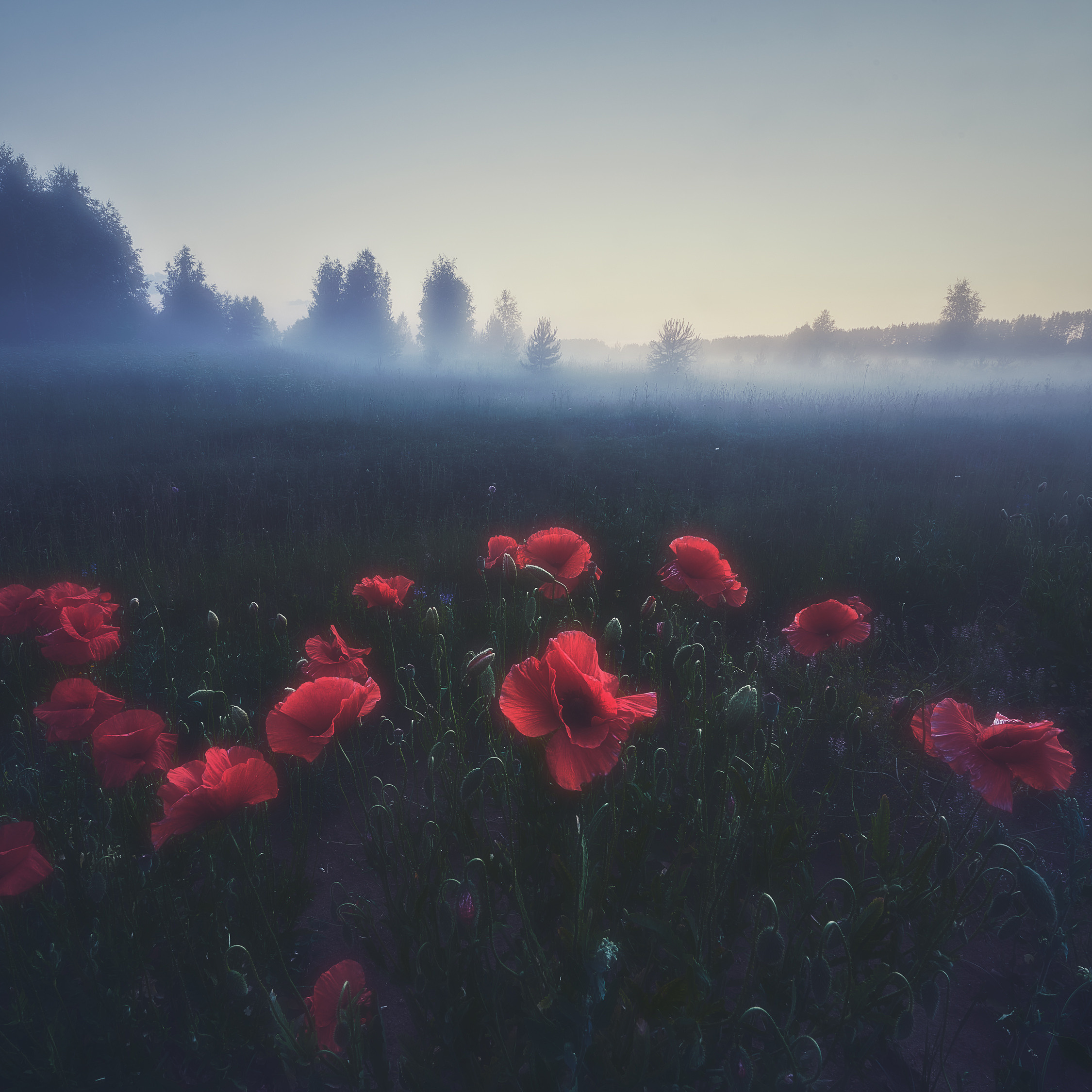 Новое. Красота природы. Фотограф Кононов Антон