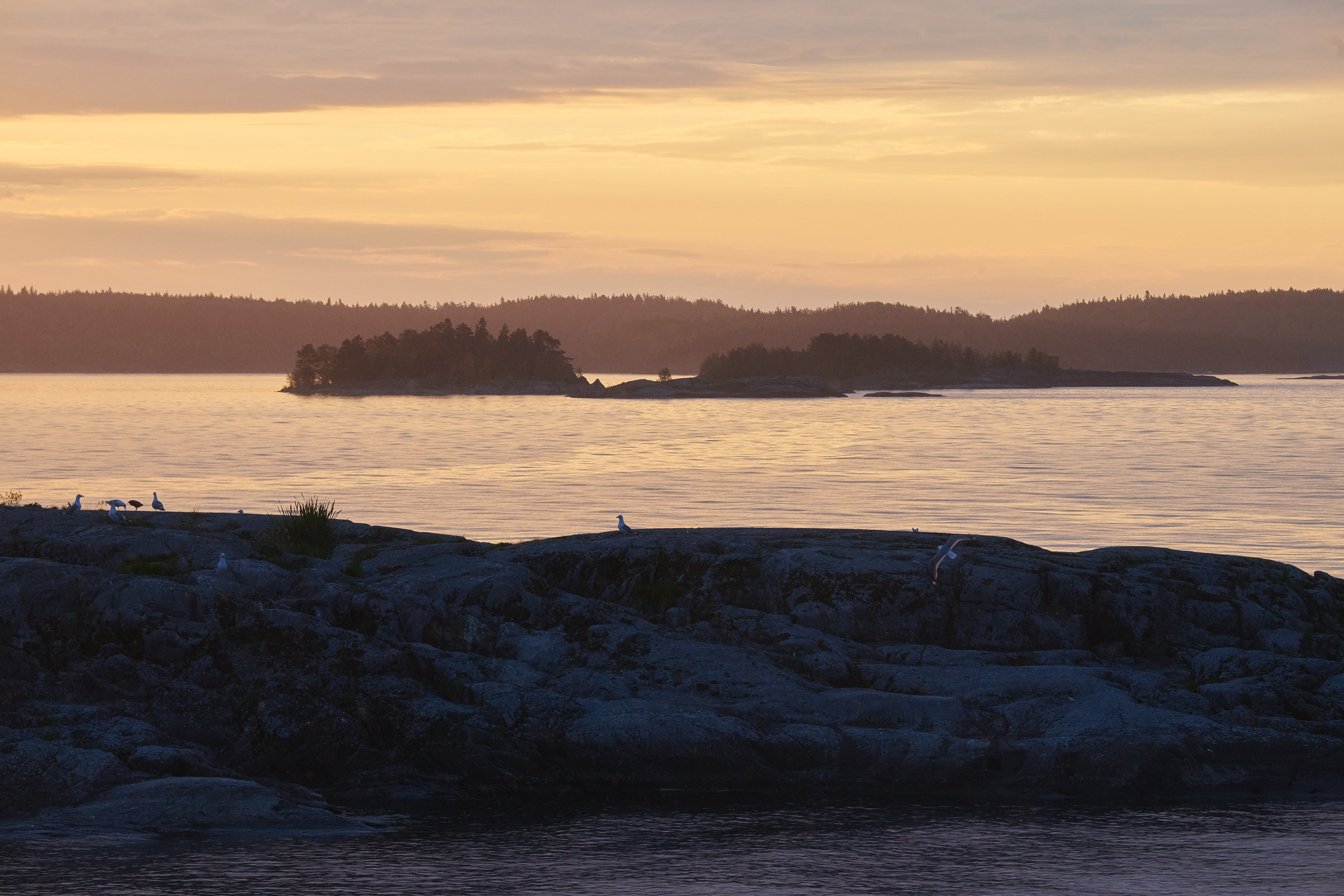 Lake Ladoga. The beauty of nature. Photographer Anton Kononov