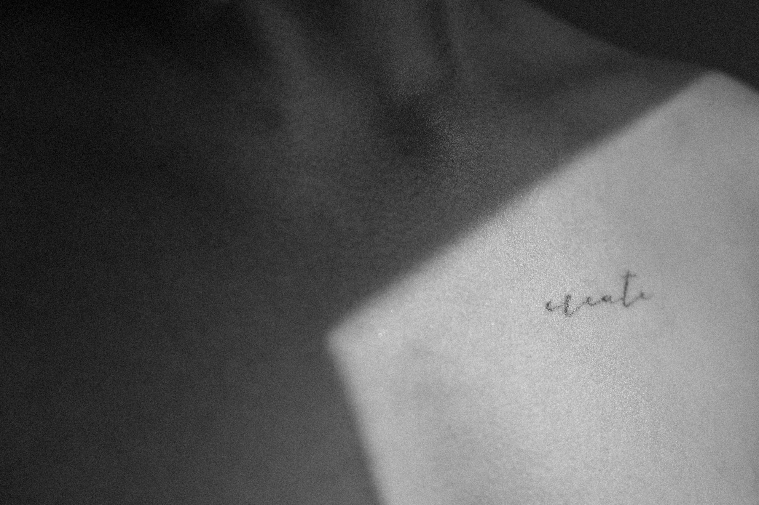 Любовь в Доме Архитектора. Свадебный и семейный фотограф в Краснодаре Марина Стёпа