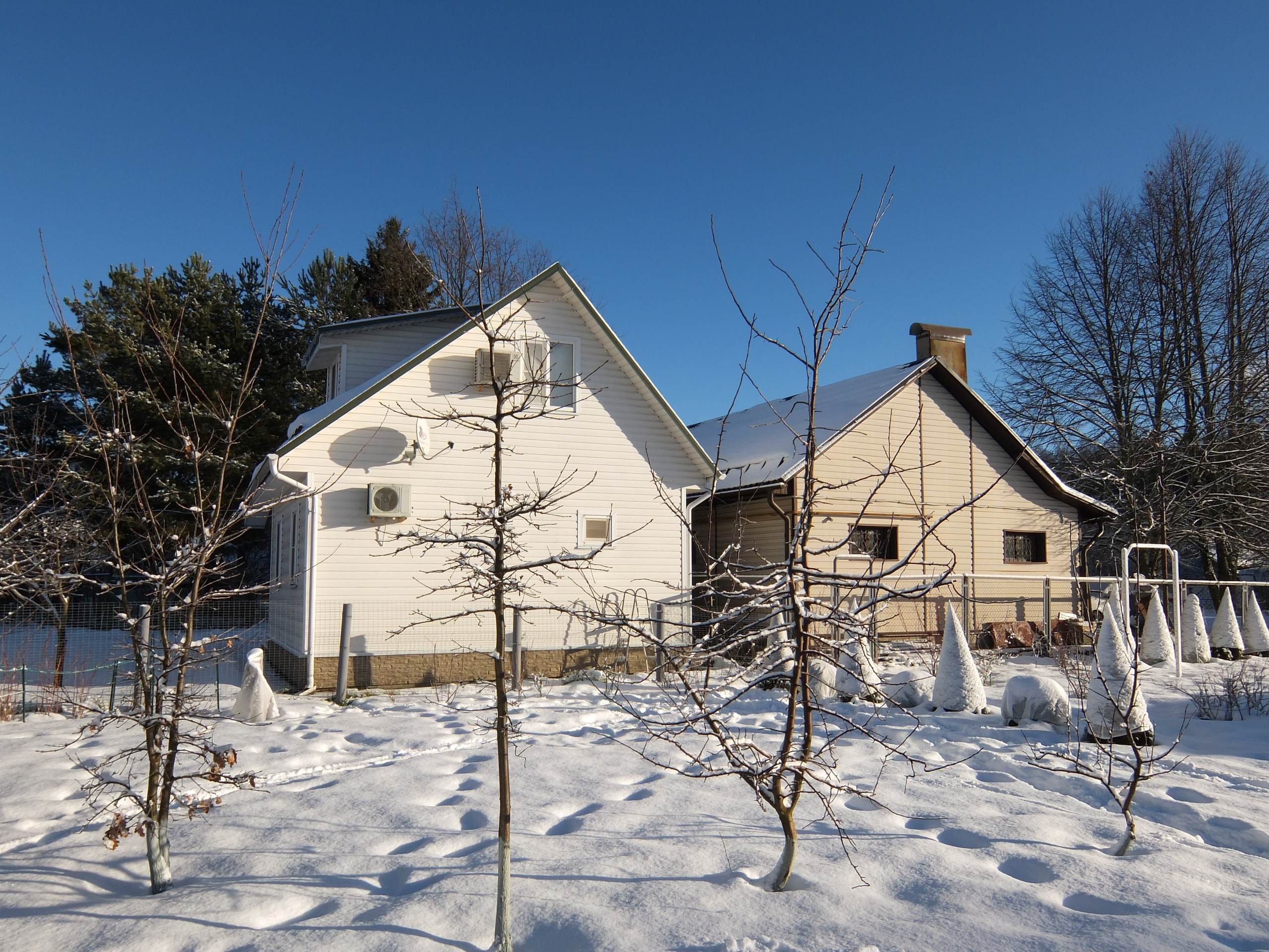 Солнечный день Нового Года. Фотограф-документалист Мария Осокина