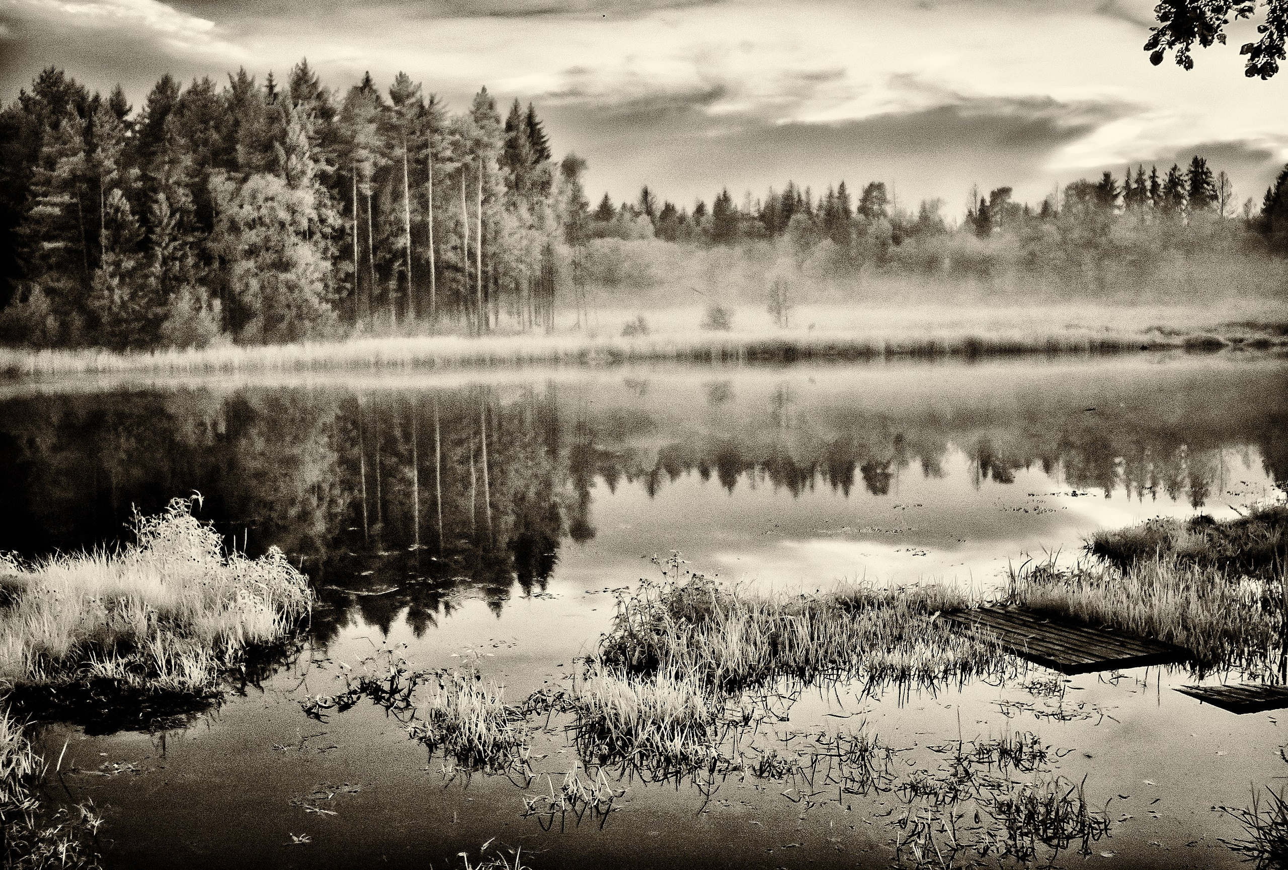 Infrared Photography. Solofilms